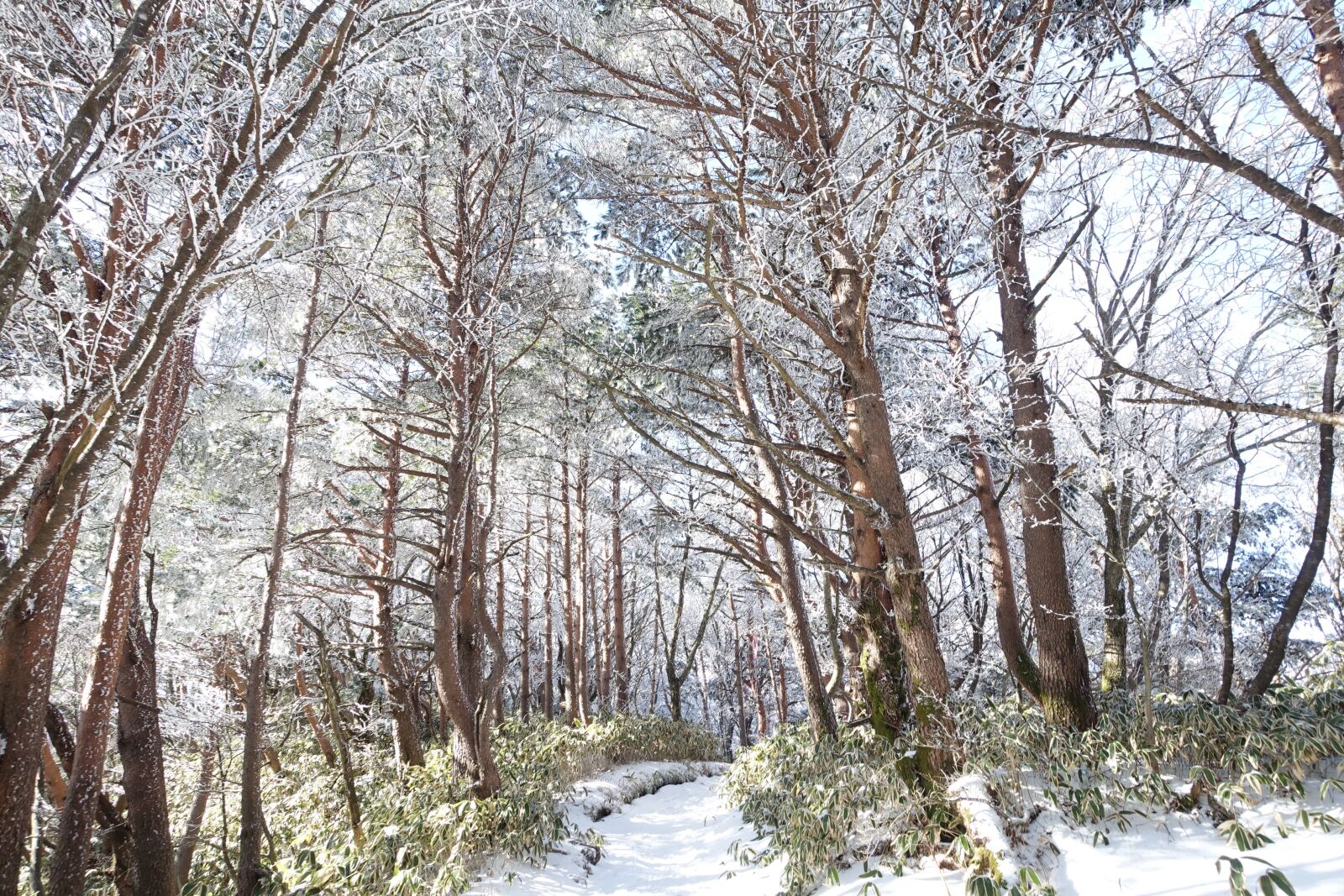 Sony Cyber-shot DSC-RX100 III sample photo. Snow mountain, winter, landscape photography