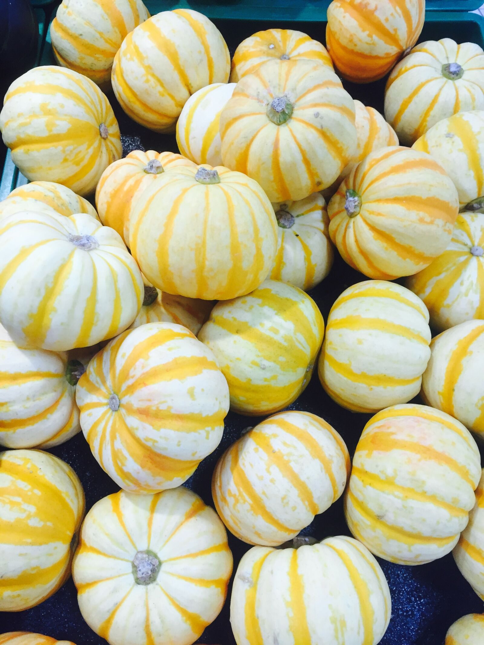 Apple iPhone 6 sample photo. Halloween, pumpkin, small photography