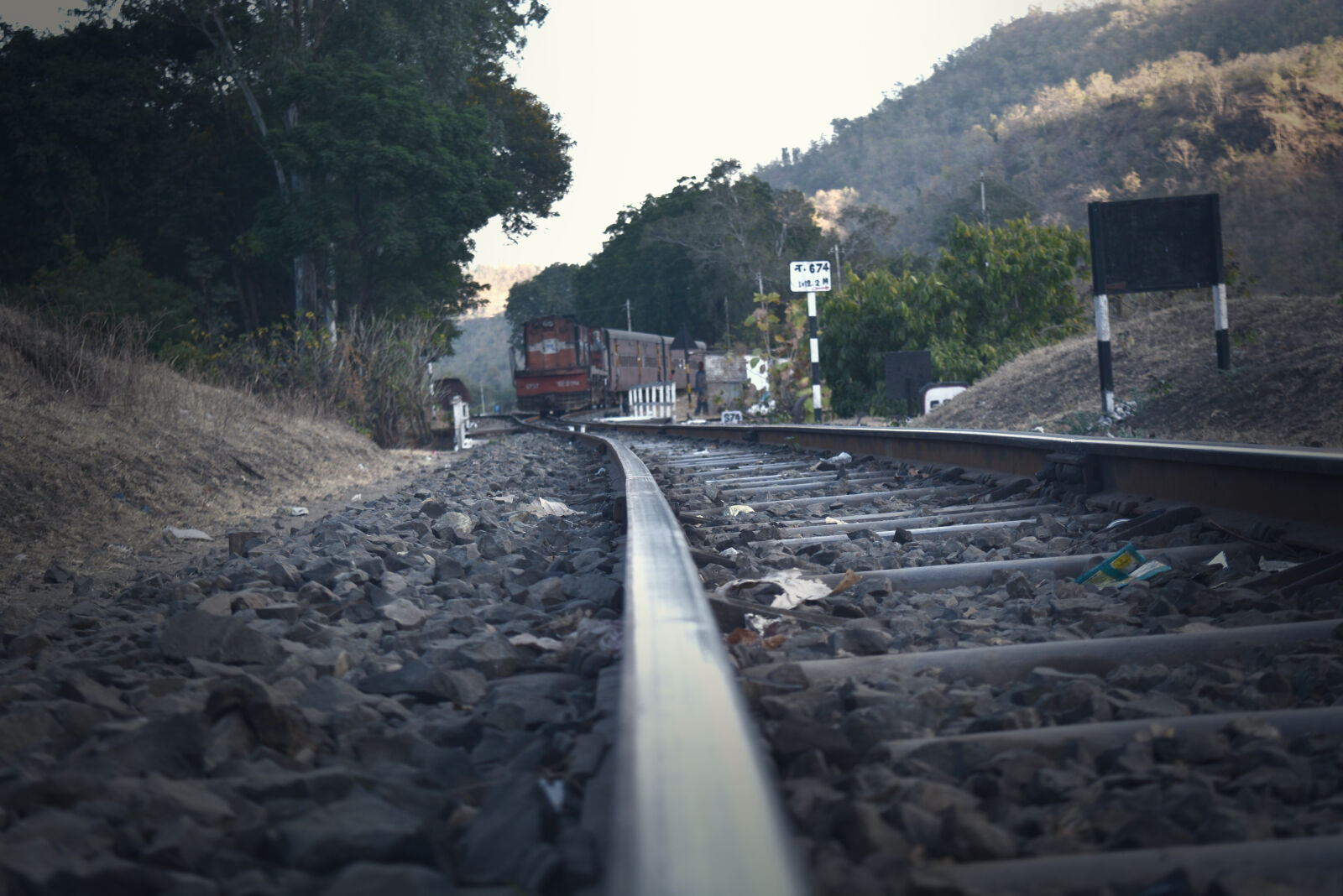 Nikon D5200 sample photo. Railroad, tracks, amidst, trees photography