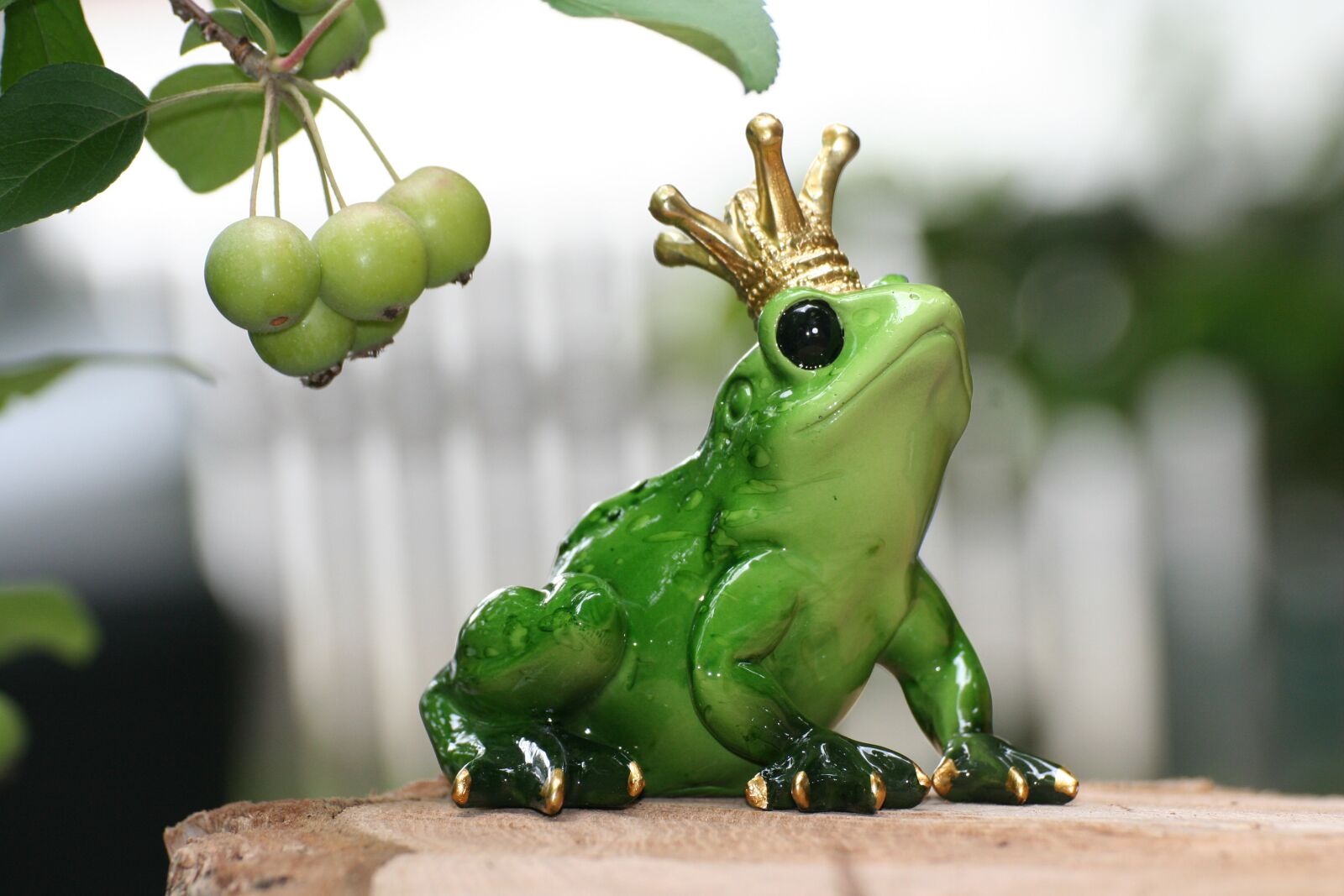 Canon EOS 350D (EOS Digital Rebel XT / EOS Kiss Digital N) sample photo. Frog prince, frog, crown photography