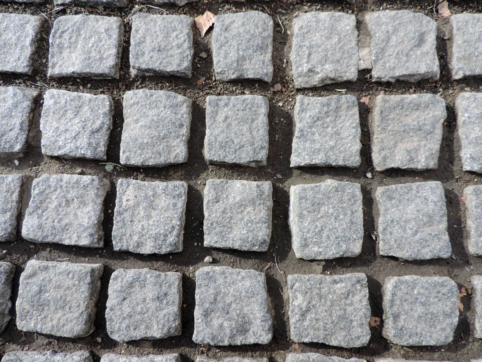 Nikon Coolpix P520 sample photo. Wall, paving stone, cement photography