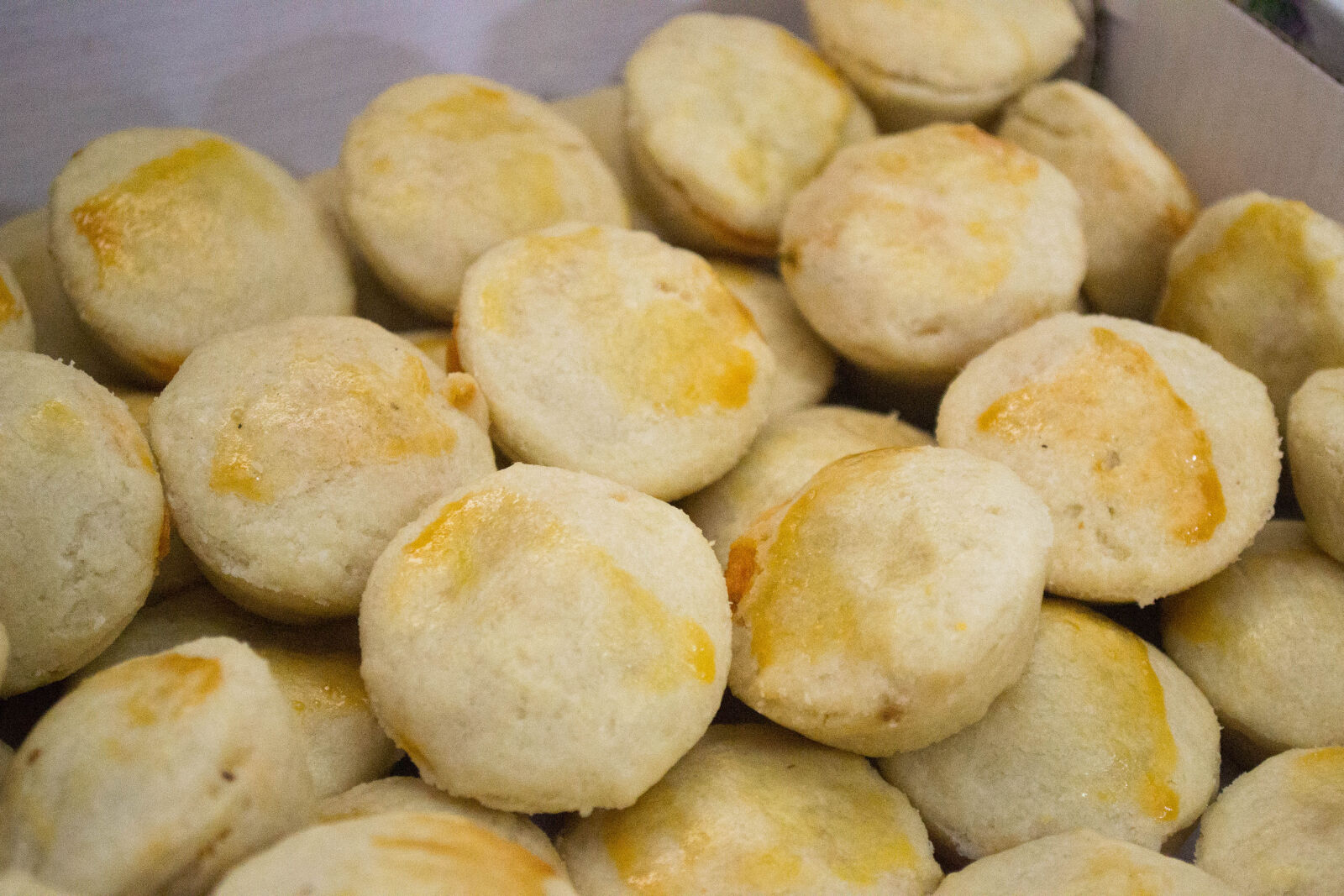 Nikon D3100 sample photo. Assado, comida, food, pastel photography