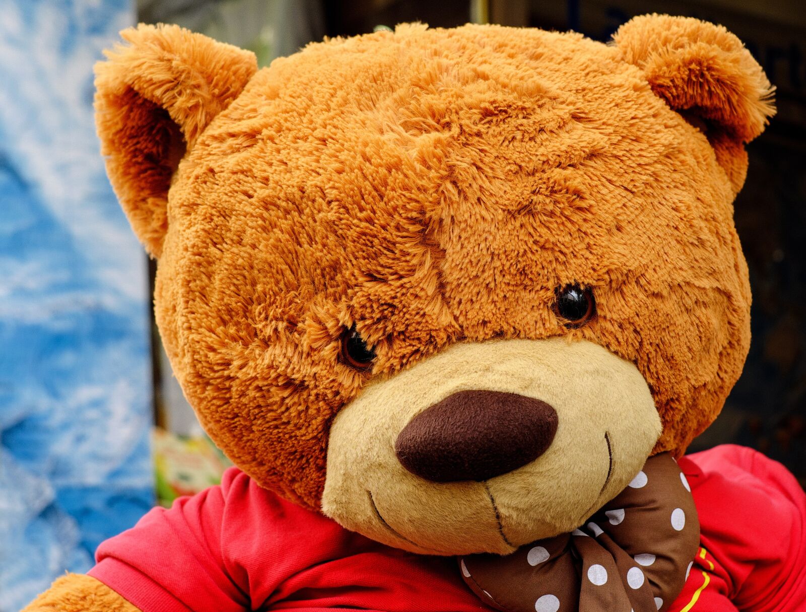 Fujifilm X-T10 + Fujifilm XF 35mm F1.4 R sample photo. Teddy bear, soft toy photography