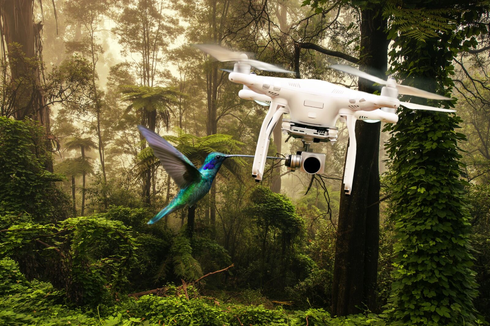 Nikon D700 sample photo. Drone, bird, flying photography