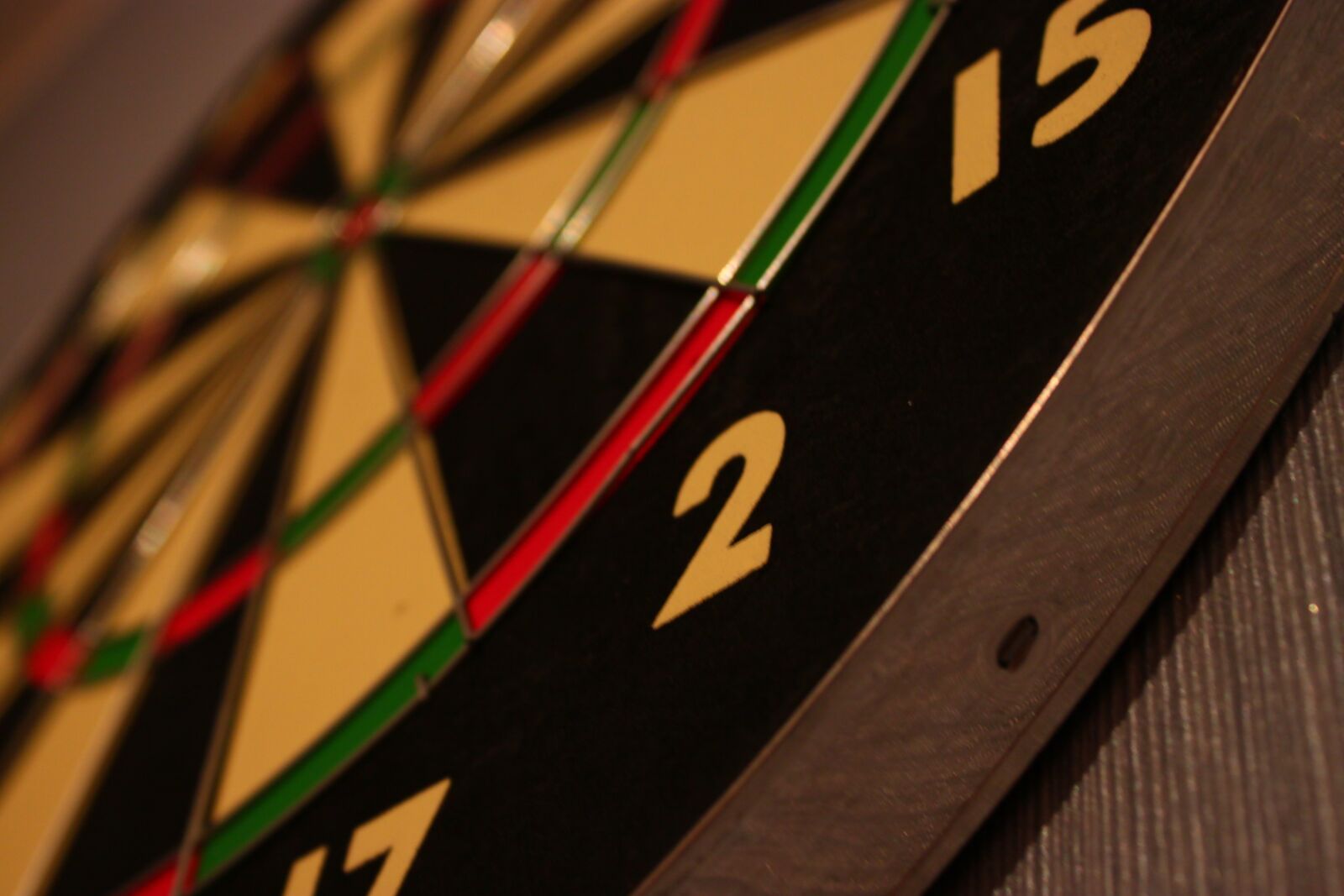 Canon EOS 500D (EOS Rebel T1i / EOS Kiss X3) sample photo. Darts, the purpose of photography