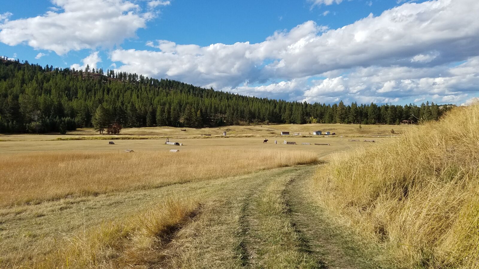 Samsung Galaxy S7 sample photo. Montana, field, nature photography