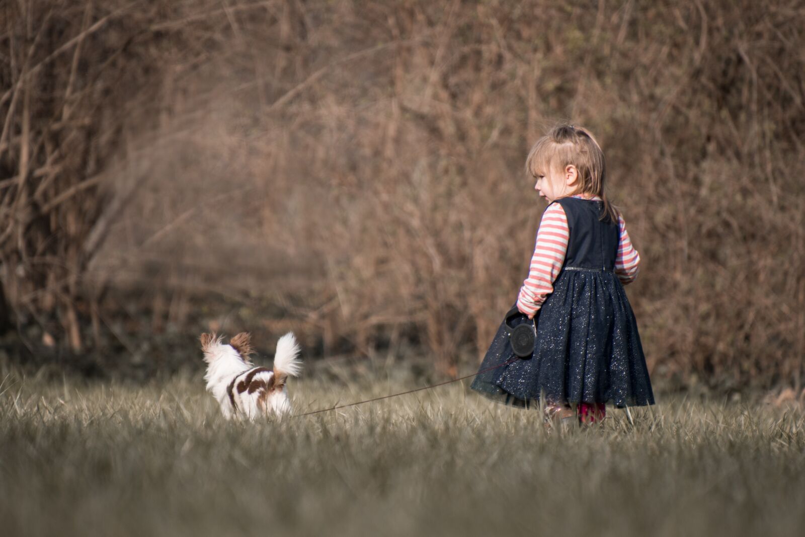 Nikon D5600 sample photo. Girl, human, dog photography