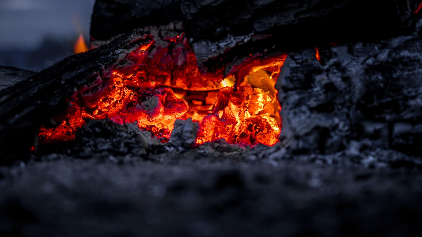 Canon 18-35mm F1.8 DC HSM | Art 013 sample photo. Fire, log, an outbreak photography