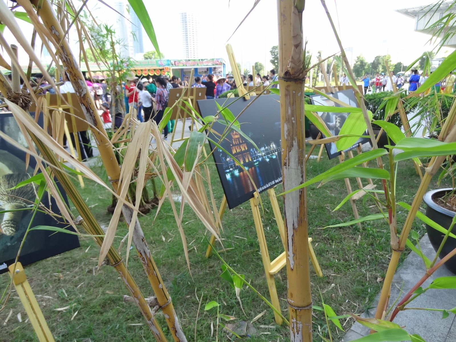 Sony Cyber-shot DSC-HX9V sample photo