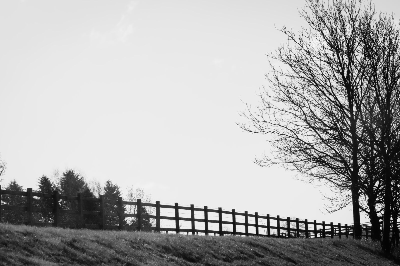 Nikon D3300 sample photo. Amazing nature, b and photography