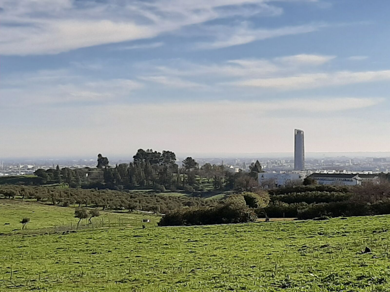 Samsung Galaxy A50 sample photo. Seville, landscape, tower photography