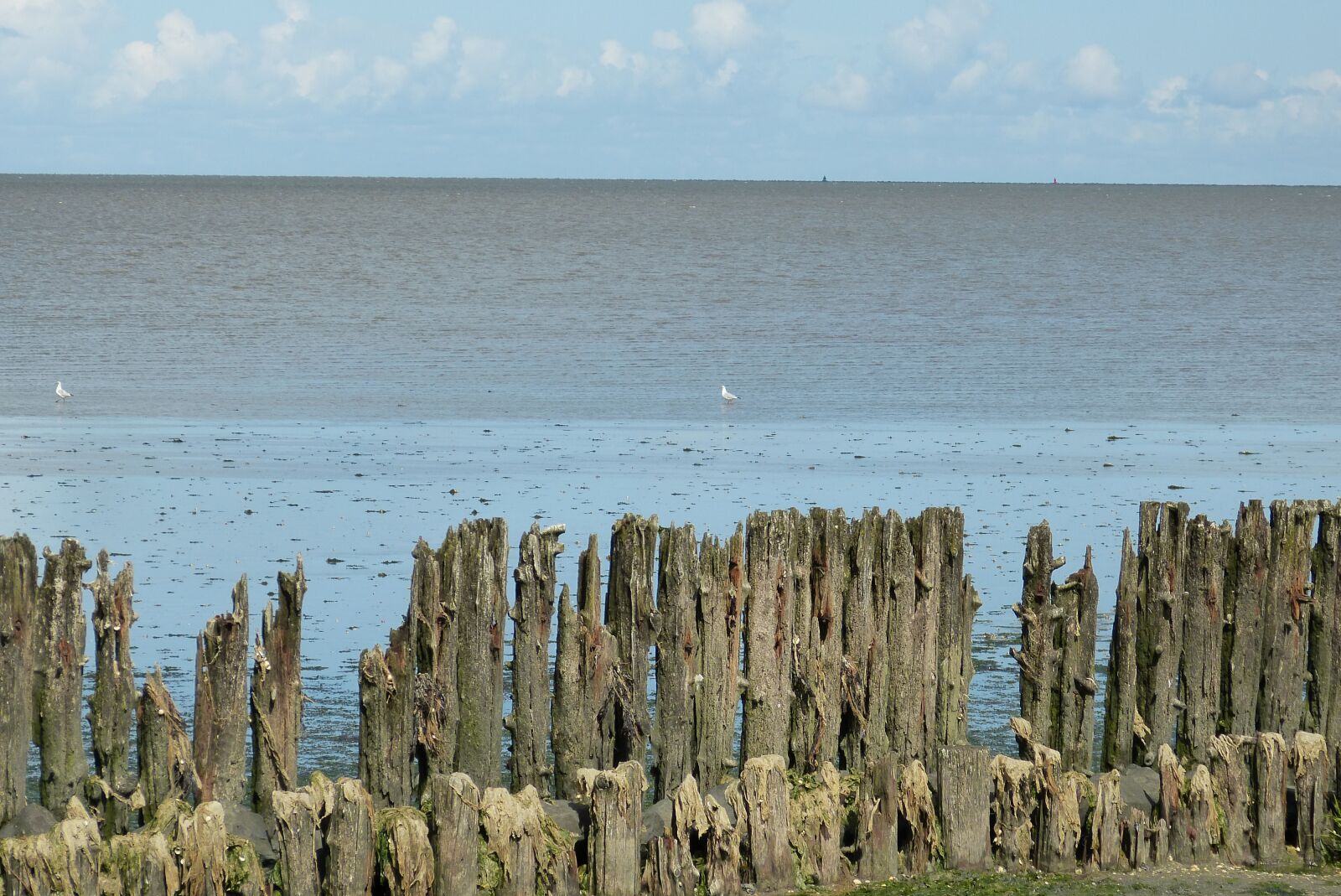 Panasonic Lumix DMC-FZ150 sample photo. Ebb, sea, horizon photography