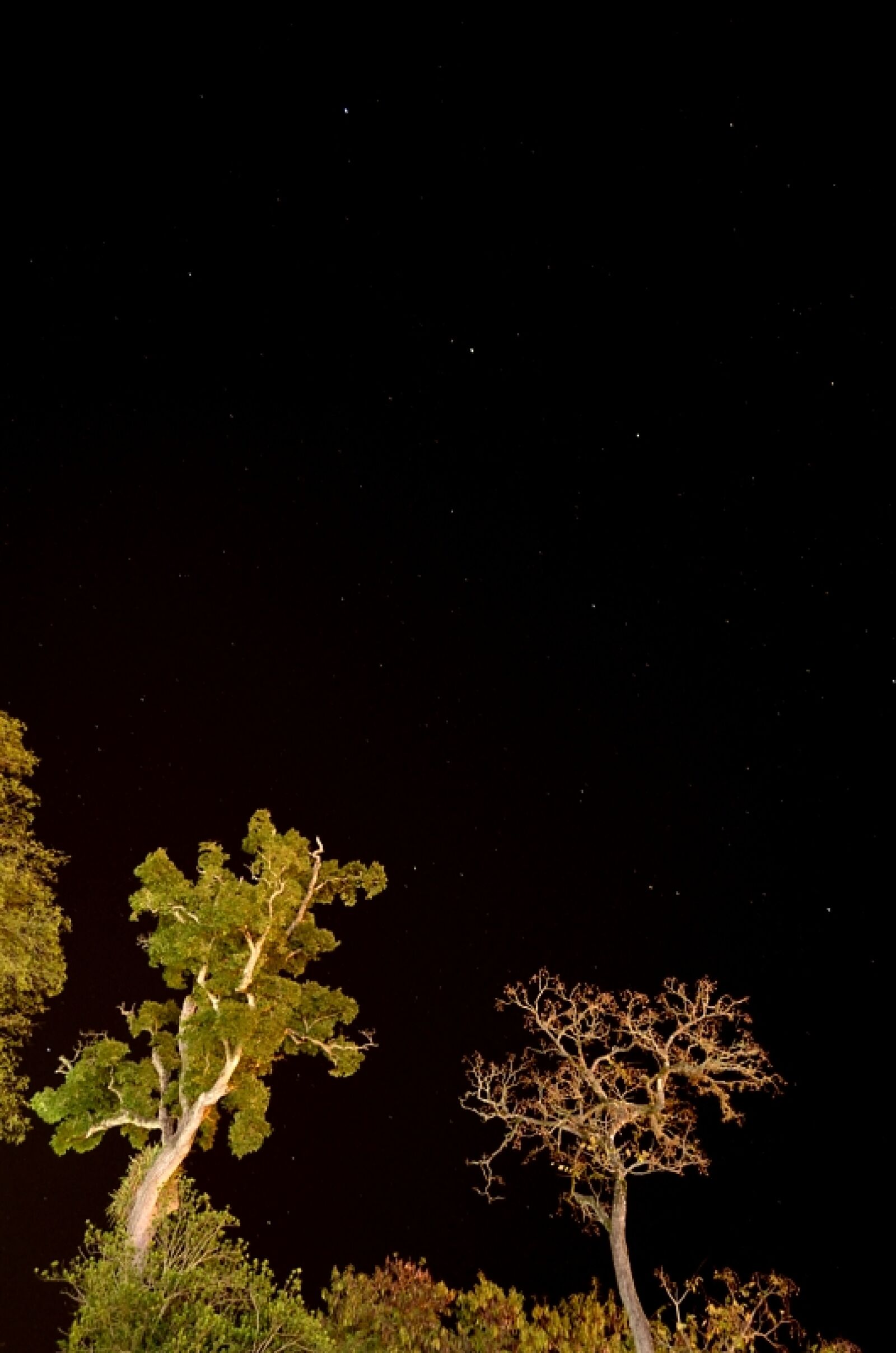 Nikon D5100 sample photo