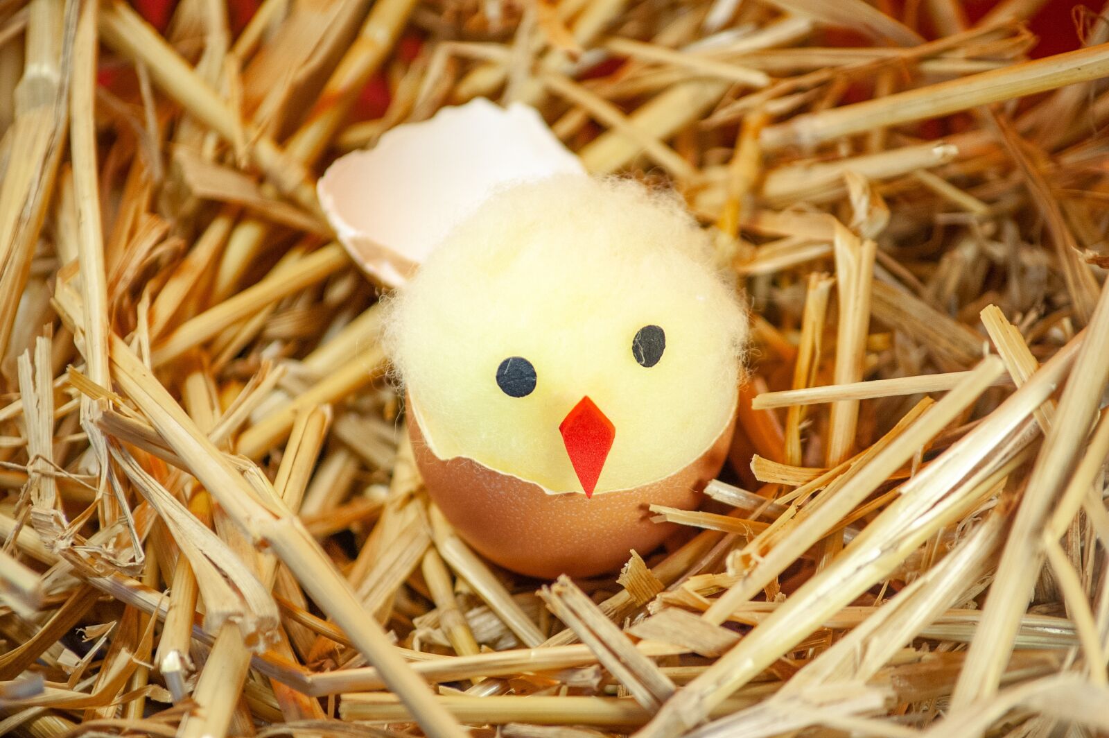 Tamron AF 55-200mm F4-5.6 Di II LD Macro sample photo. Easter, chicks, straw photography