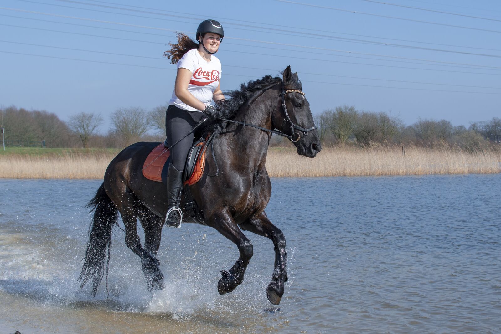Nikon D500 sample photo. Horseback riding, horse, nature photography