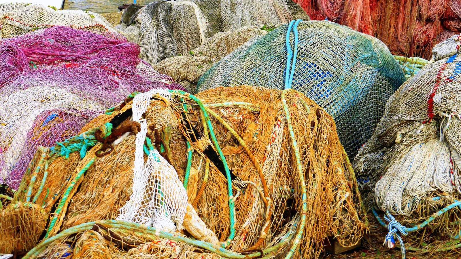 Panasonic Lumix DMC-ZS25 (Lumix DMC-TZ35) sample photo. Fishing, net, color photography