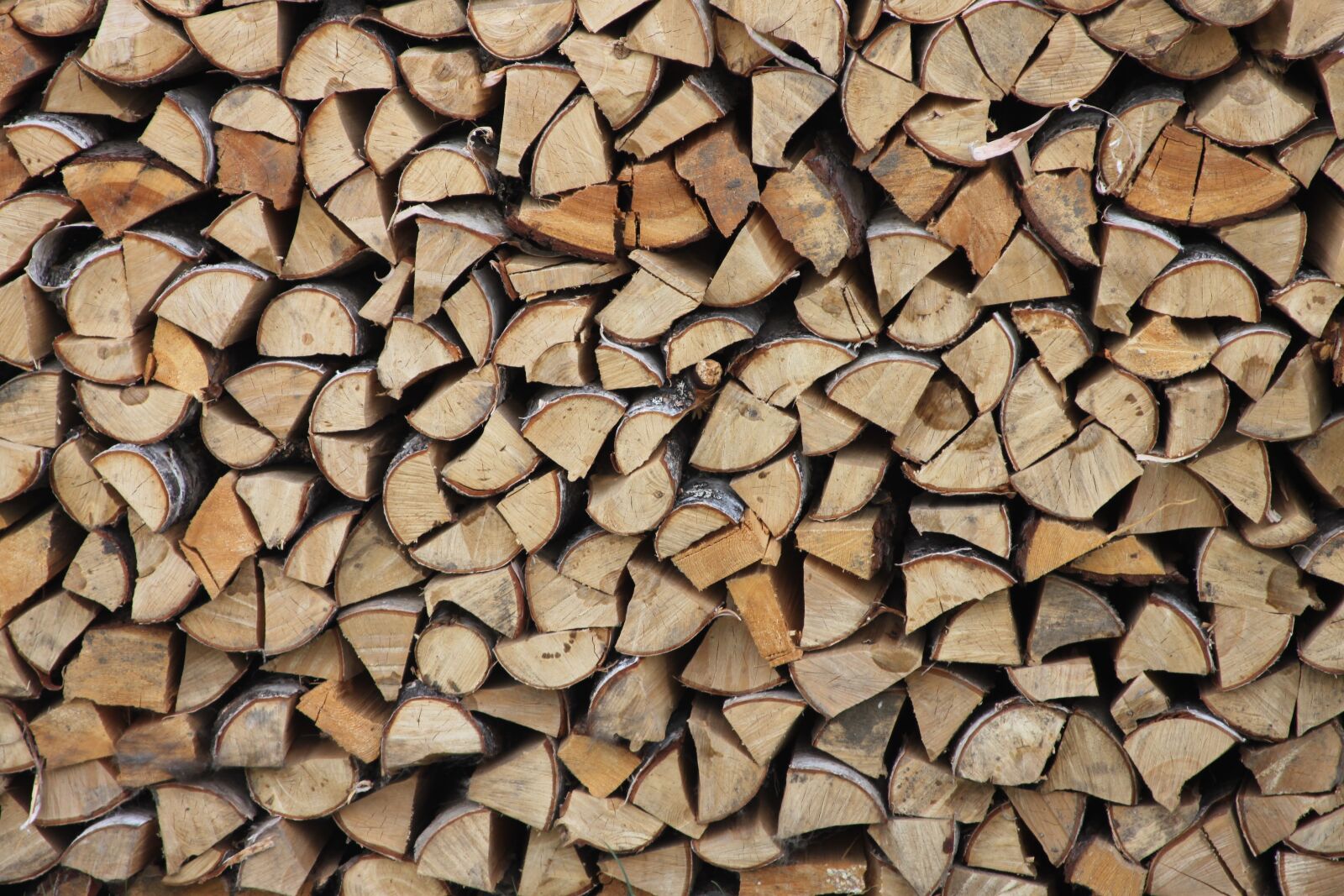 Canon EOS 500D (EOS Rebel T1i / EOS Kiss X3) sample photo. Firewood, background, wood photography