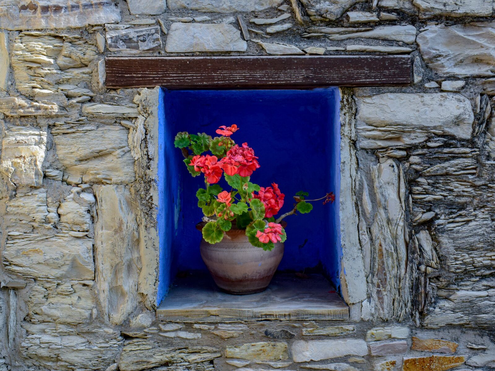 Nikon D3300 sample photo. Flower pot, decoration, wall photography