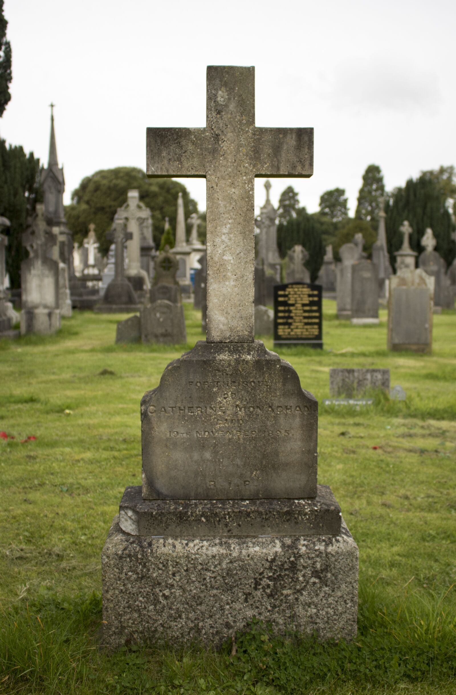 Canon EOS 750D (EOS Rebel T6i / EOS Kiss X8i) sample photo. Glasnevin, dublin, ireland photography