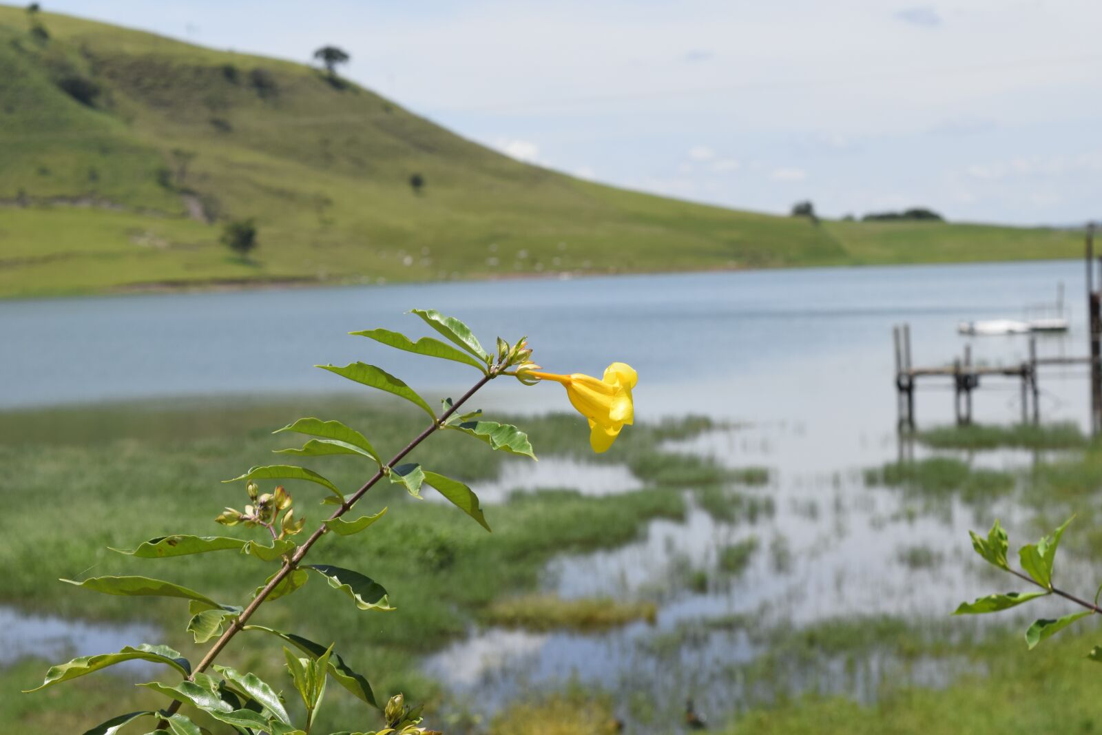 Nikon D3300 sample photo. Nature, brazil, landscape photography