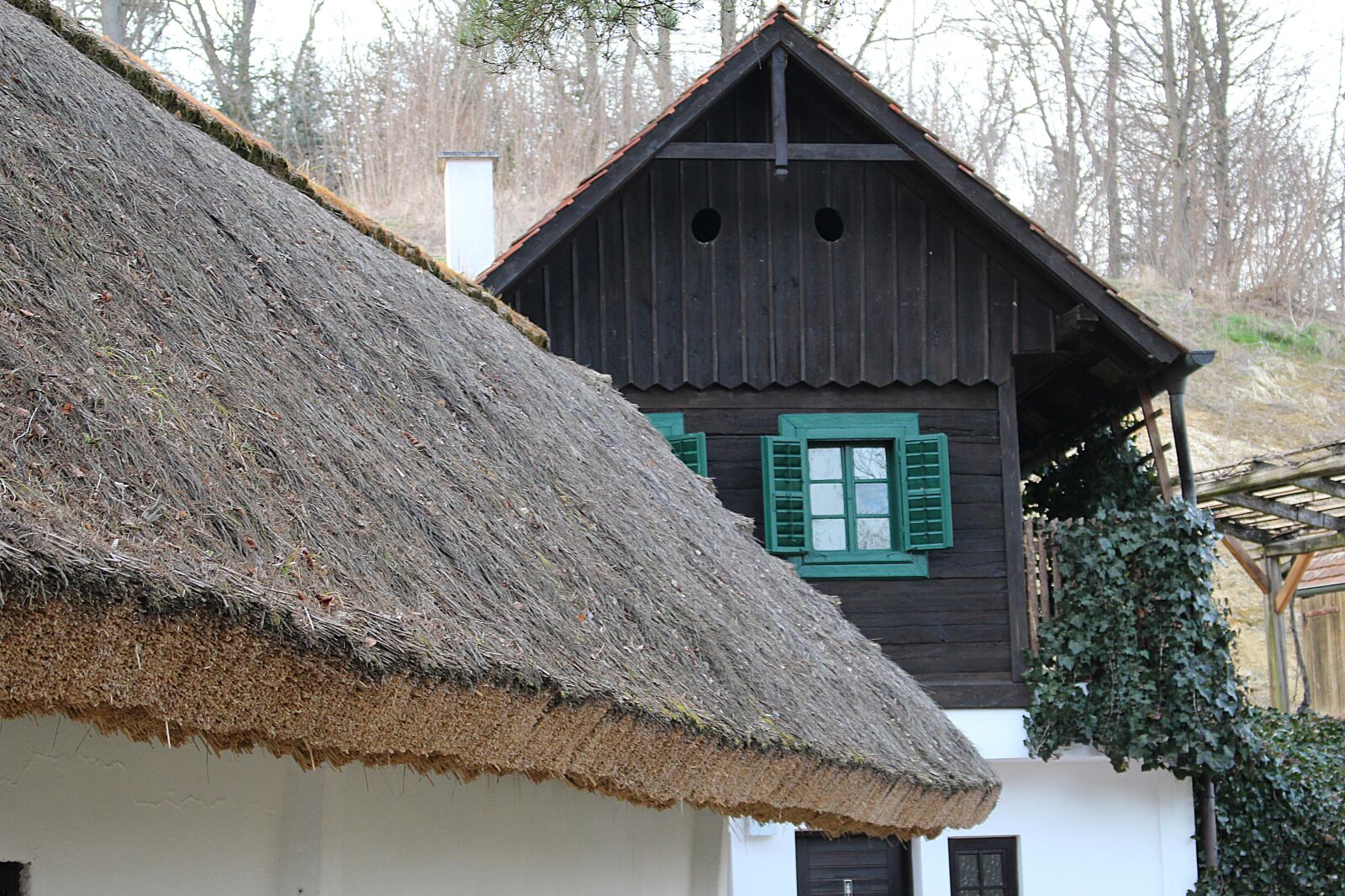 Canon EOS 100D (EOS Rebel SL1 / EOS Kiss X7) sample photo. Thatched roof, straw roof photography