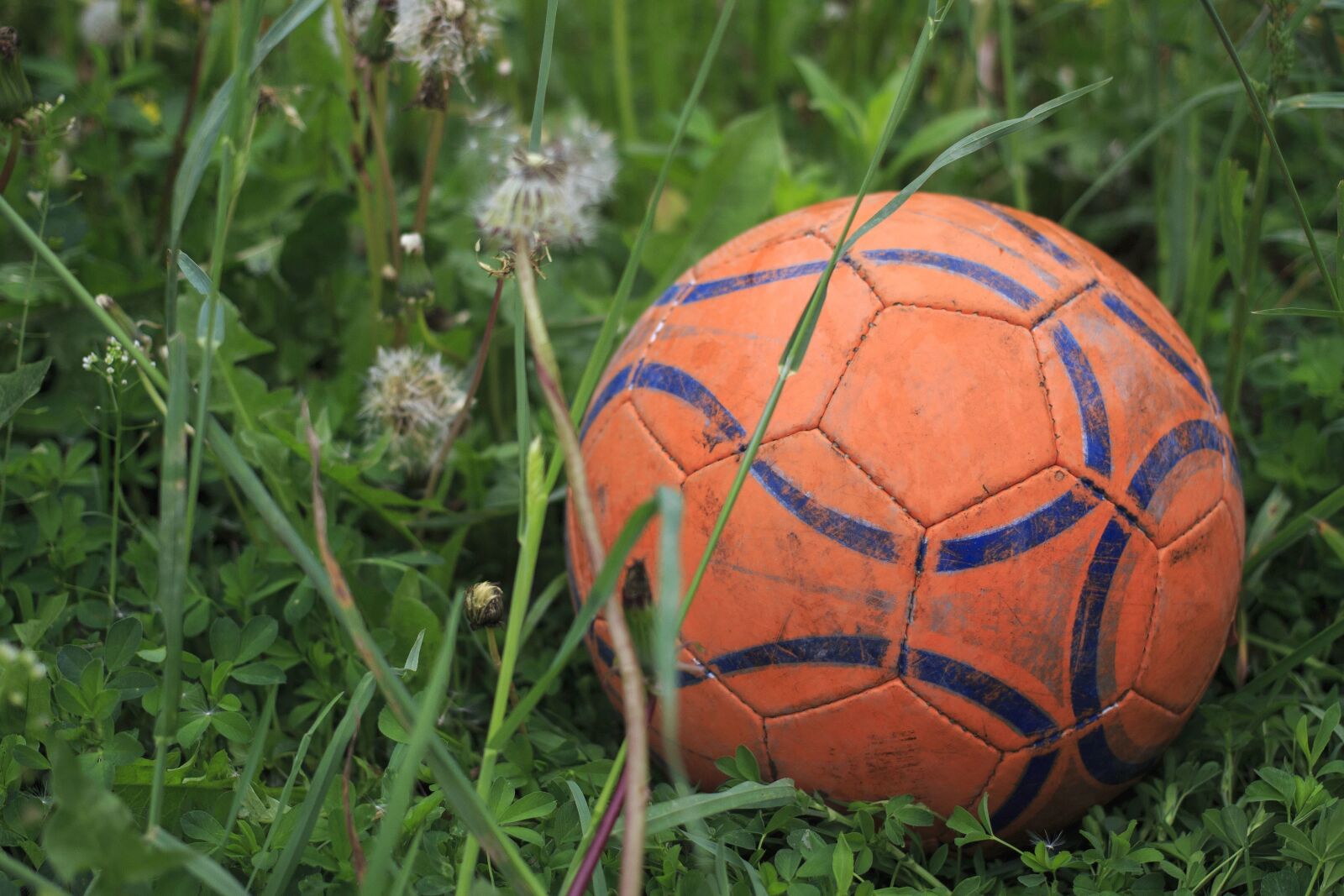 Canon EOS 100D (EOS Rebel SL1 / EOS Kiss X7) sample photo. Football, grass, plant, sport photography