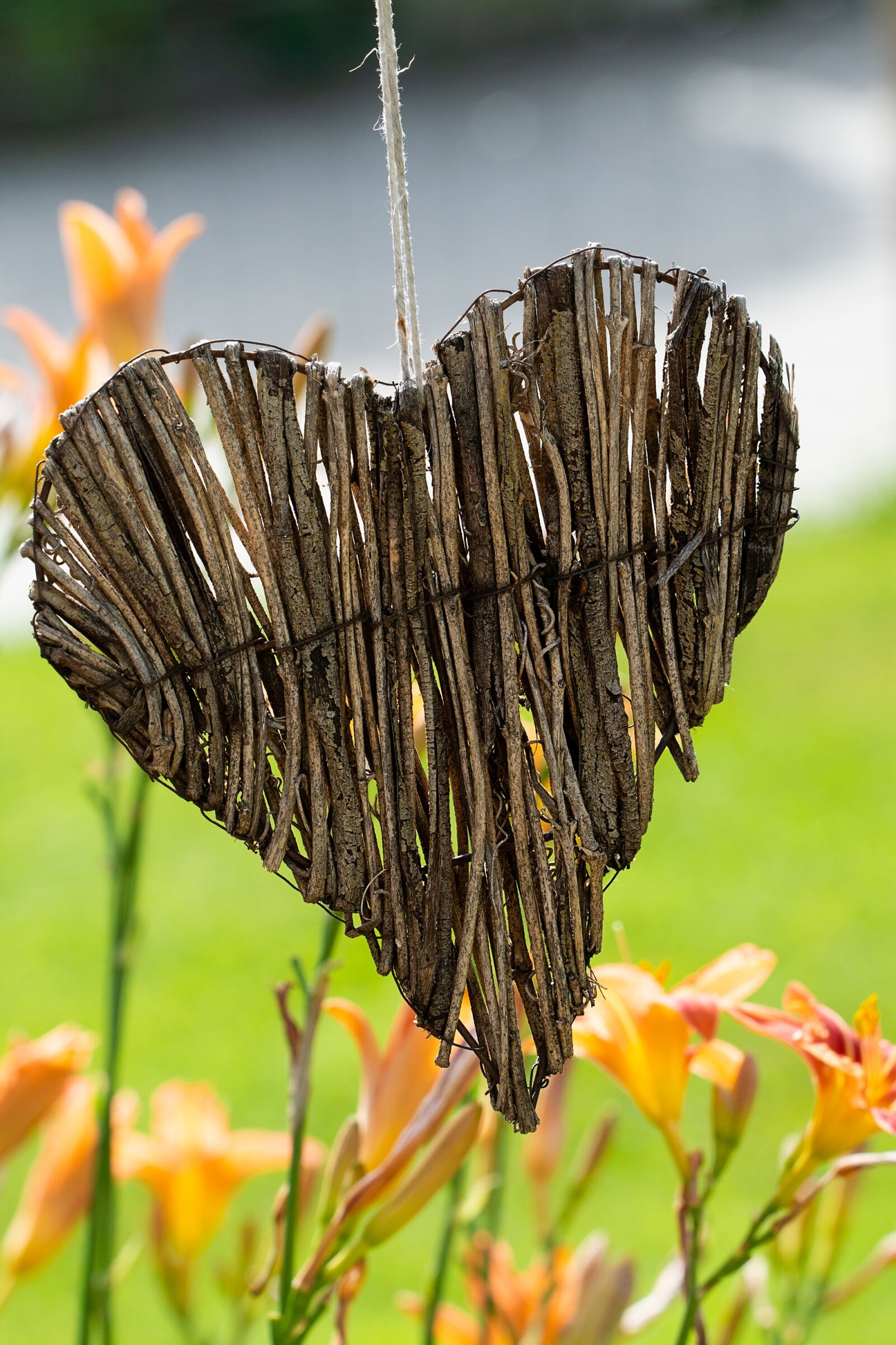 Nikon D7100 sample photo. Heart, wooden heart, willow photography
