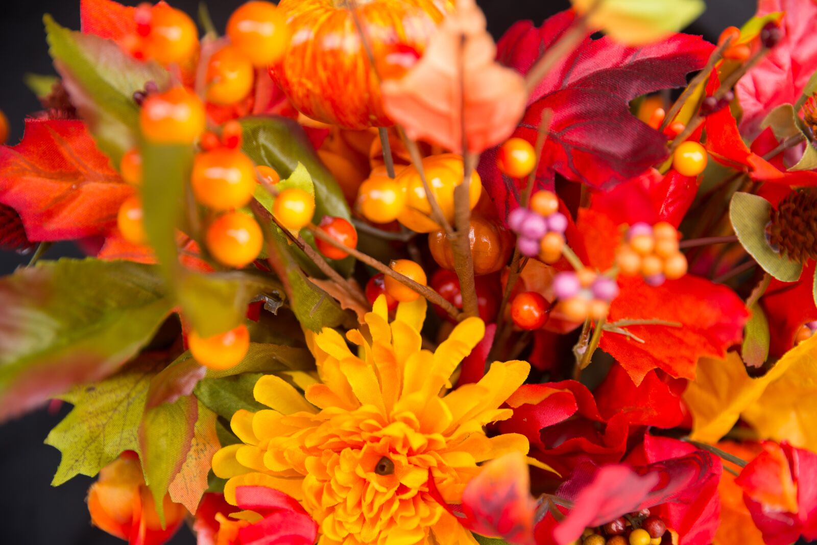 Canon EOS-1D X sample photo. Fall flowers, thanksgiving flowers photography