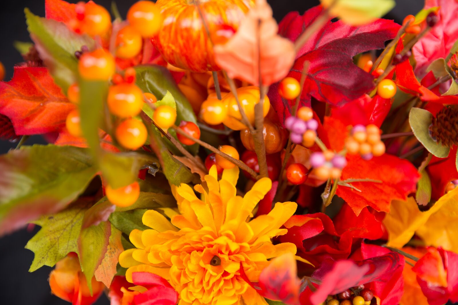 Canon EOS-1D X + Canon EF 24-70mm F2.8L II USM sample photo. Fall flowers, thanksgiving flowers photography