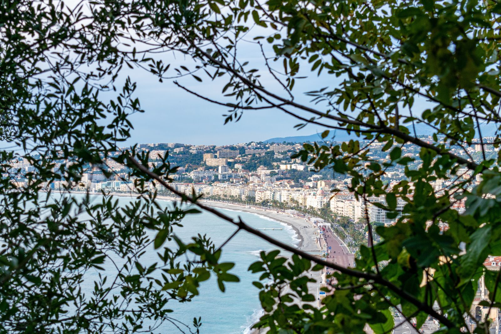 Nikon D5600 sample photo. Mountains, trees, city photography