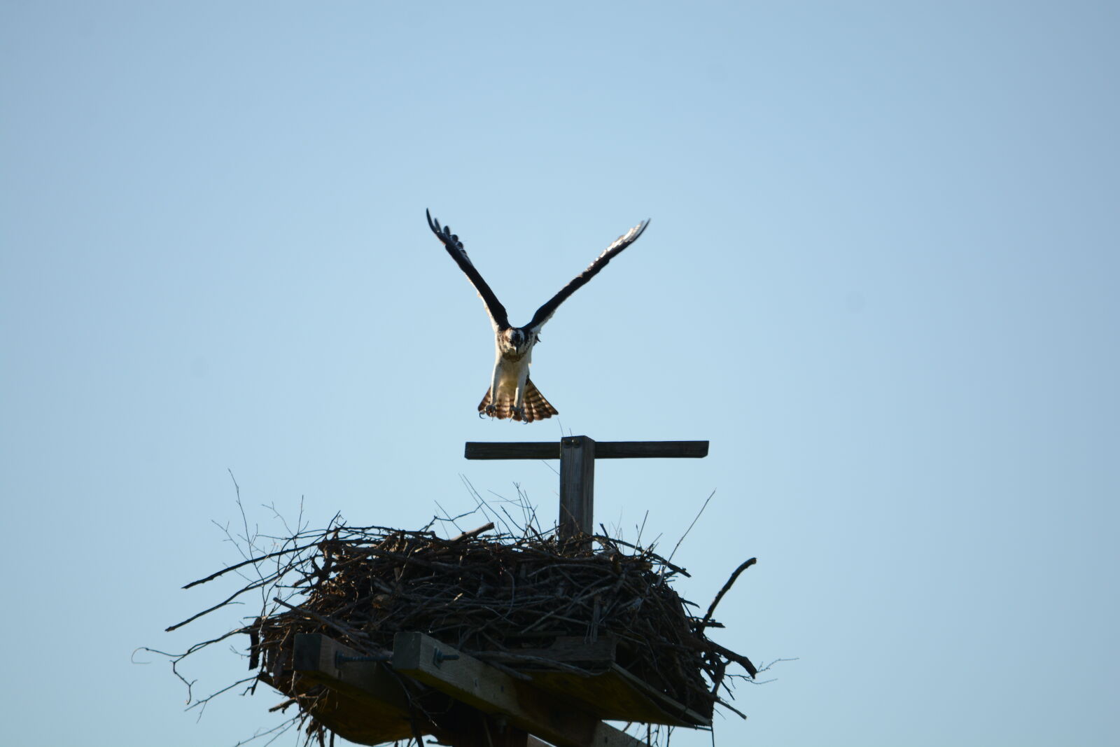 Nikon D7100 sample photo