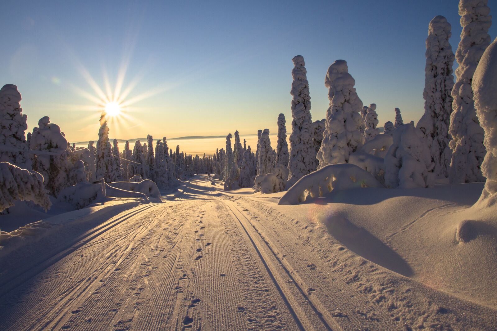 Canon EOS 7D sample photo. Finland, lapland, wintry photography