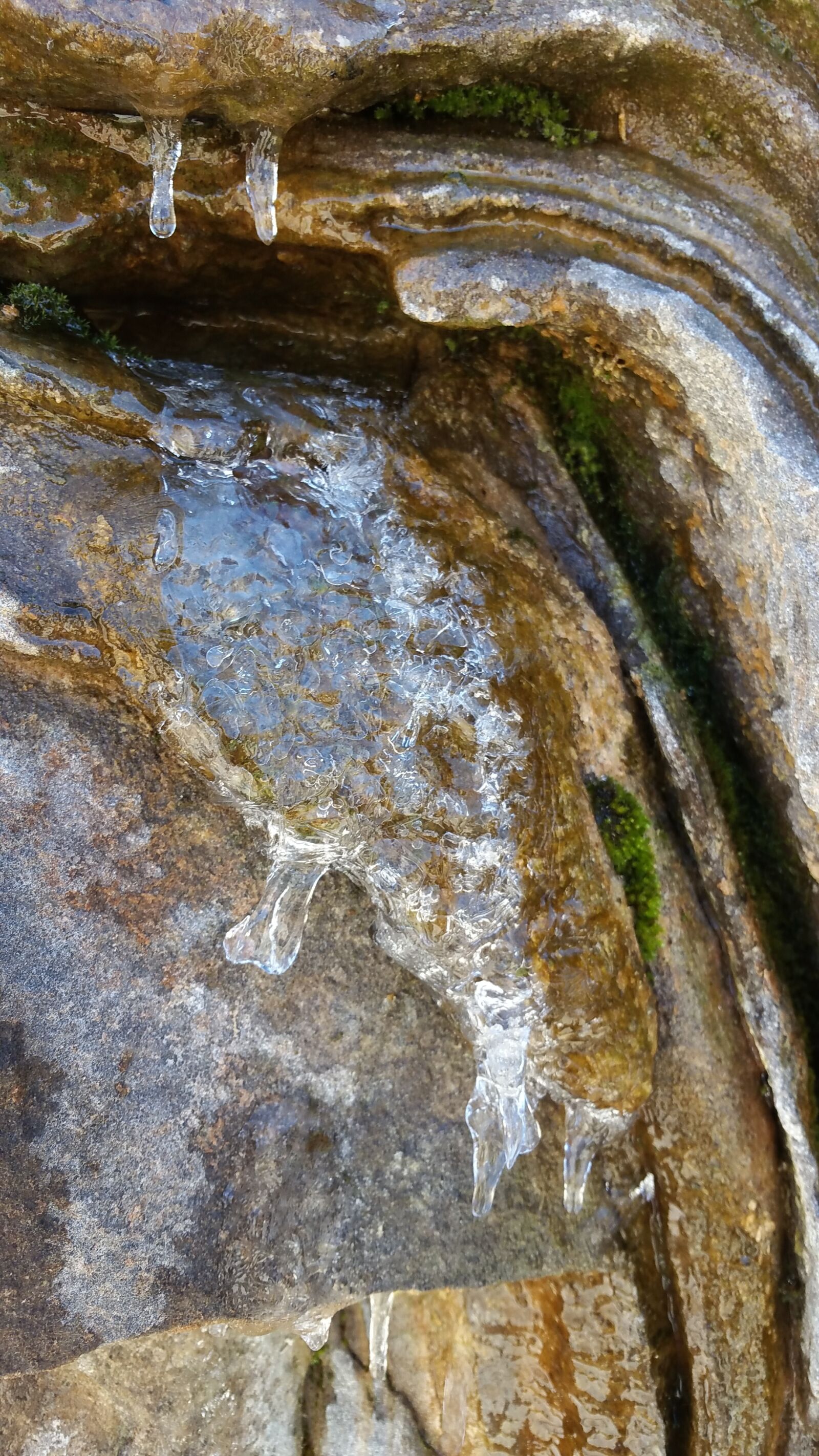 Samsung Galaxy Note4 sample photo. Frost, cold, winter photography