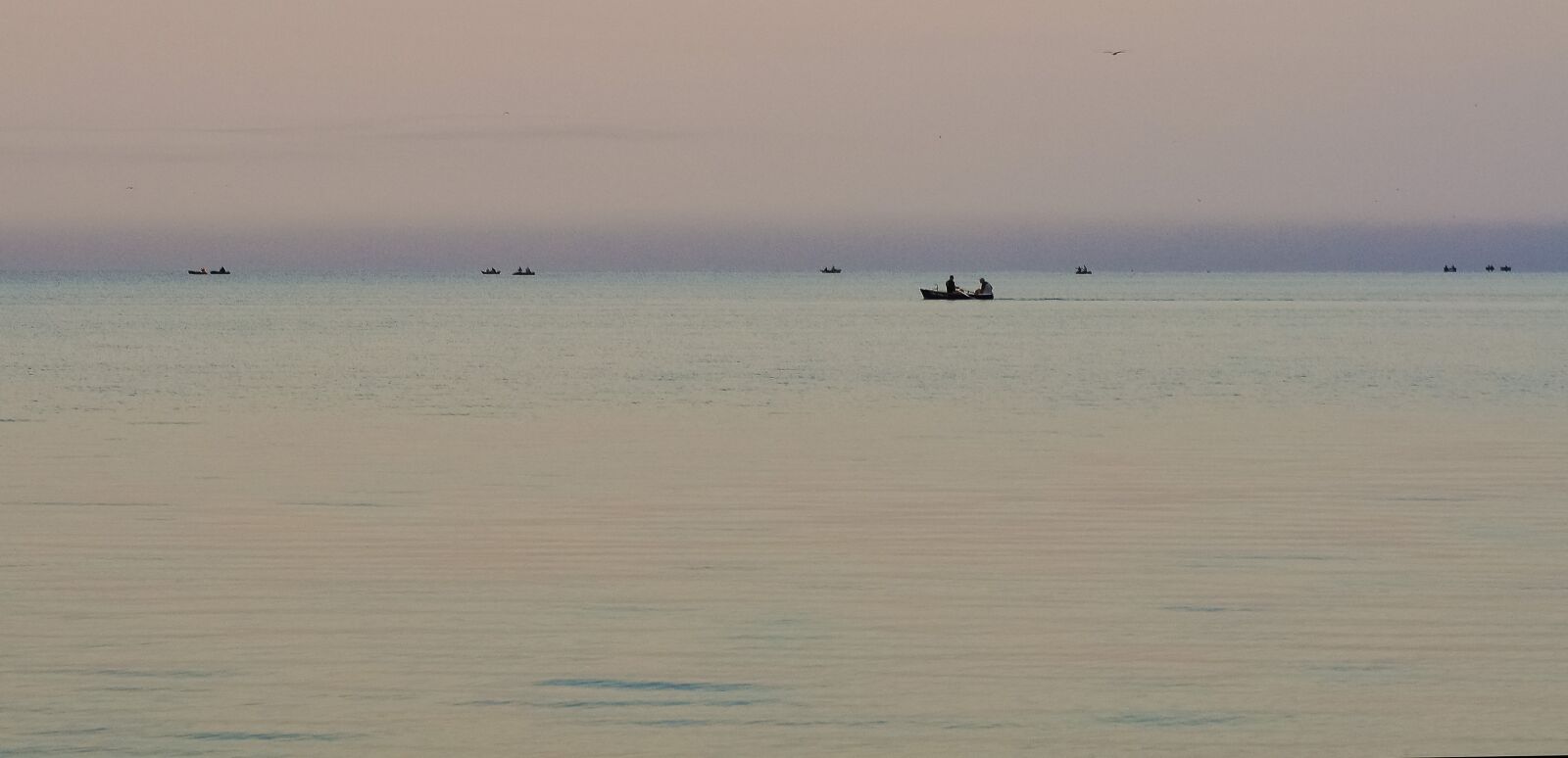 Nikon D90 sample photo. Evening, horizon, sea photography