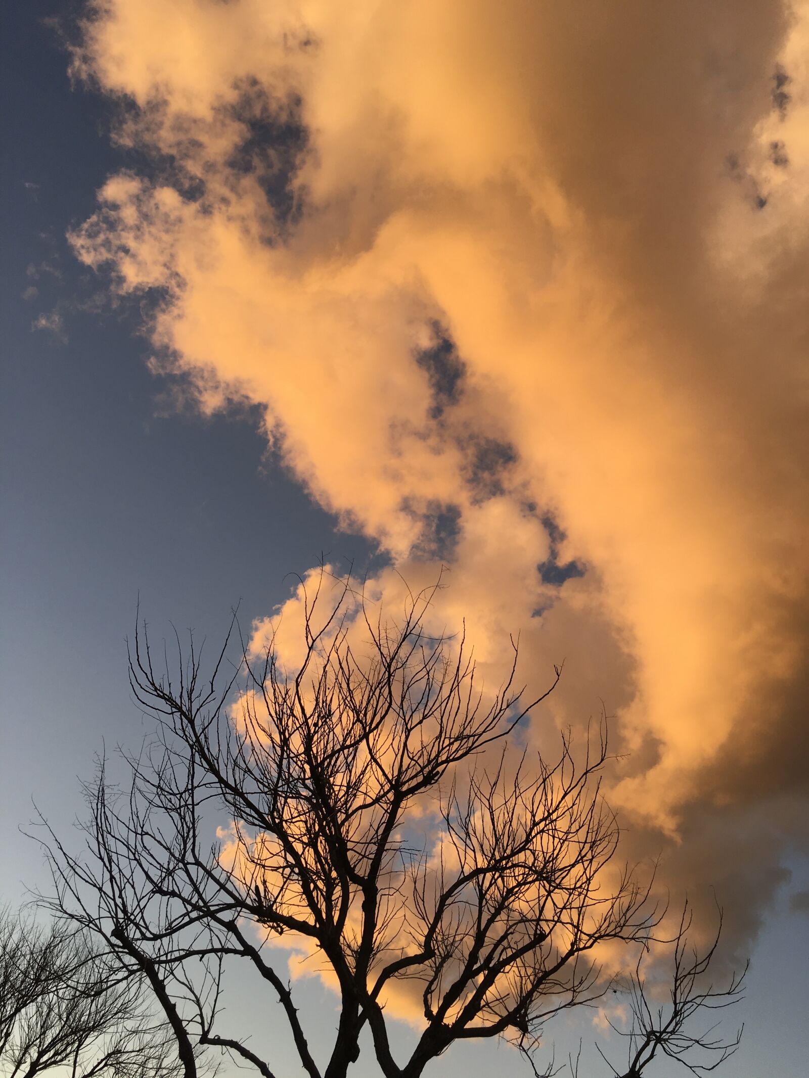 iPad Pro back camera 4.15mm f/2.2 sample photo. Clouds, landscape, fall photography
