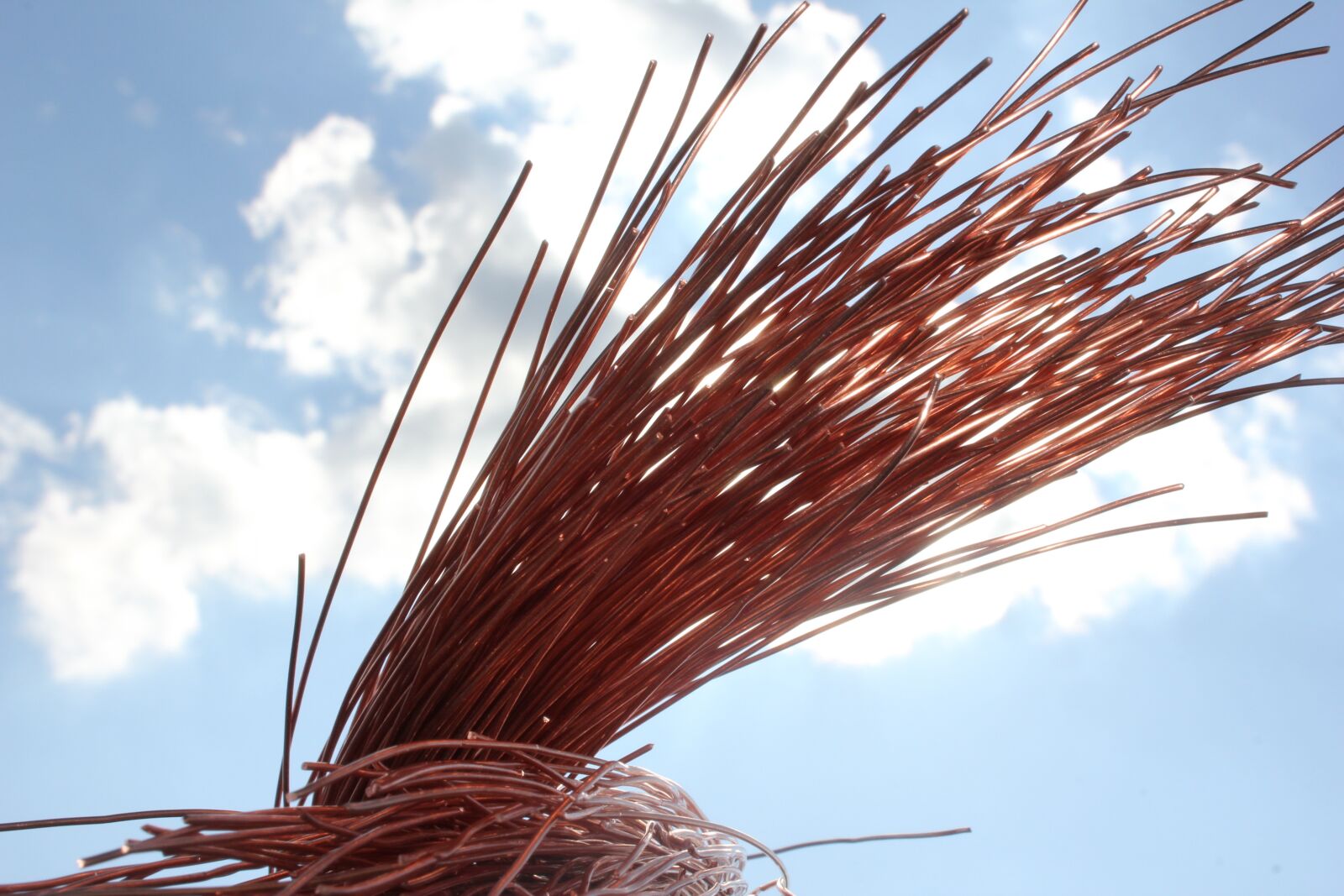 Canon EOS 550D (EOS Rebel T2i / EOS Kiss X4) sample photo. Copper, or, sun photography