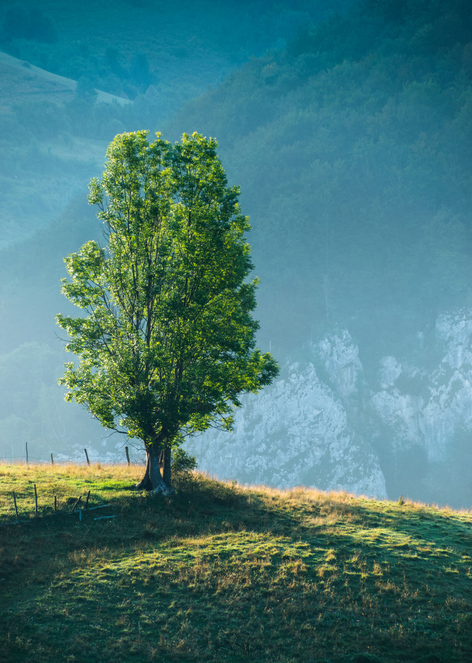 Nikon D5300 sample photo. Countryside, dawn, daylight, environment photography