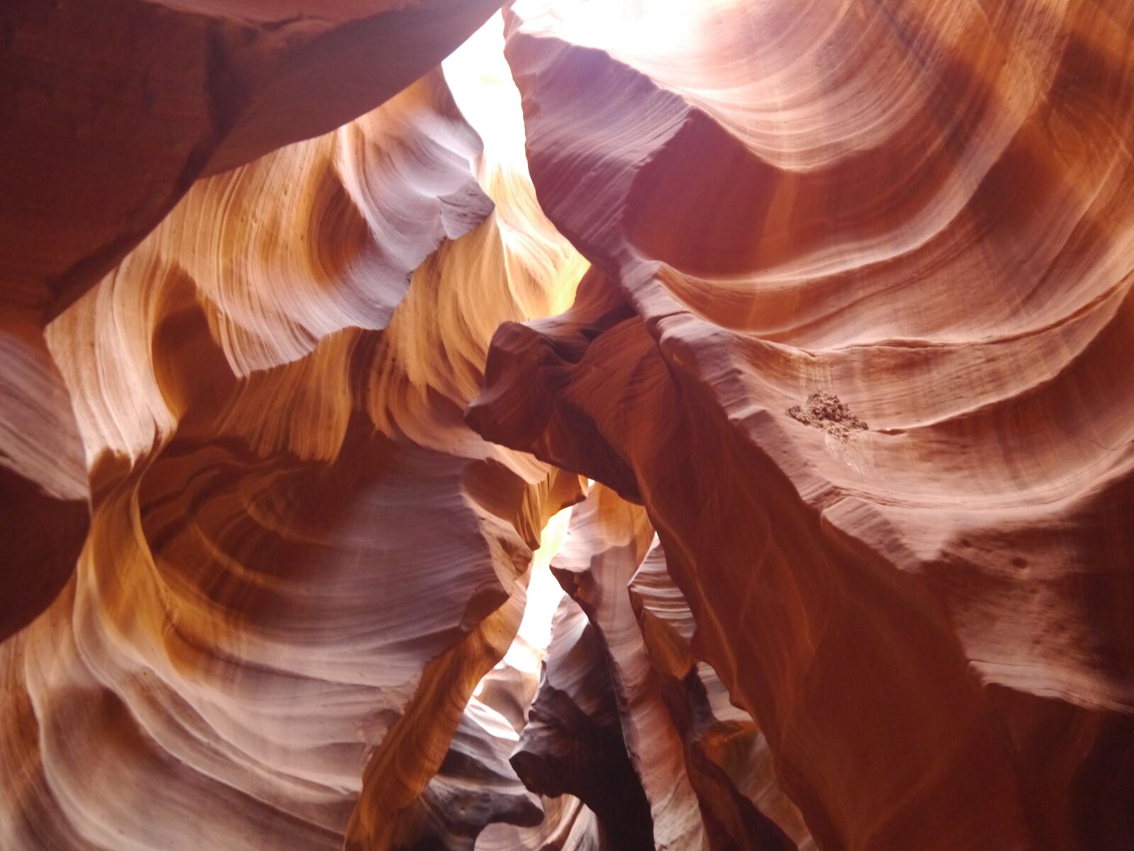 Panasonic Lumix DMC-GX1 sample photo. Mother nature, cave, antelope photography