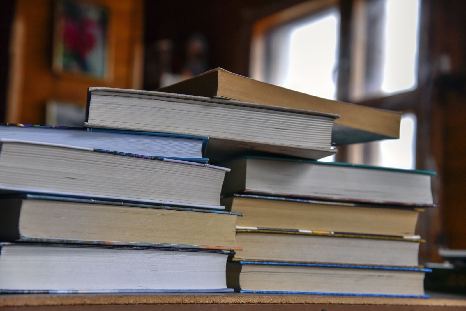 Nikon D750 sample photo. Books, reading, read photography