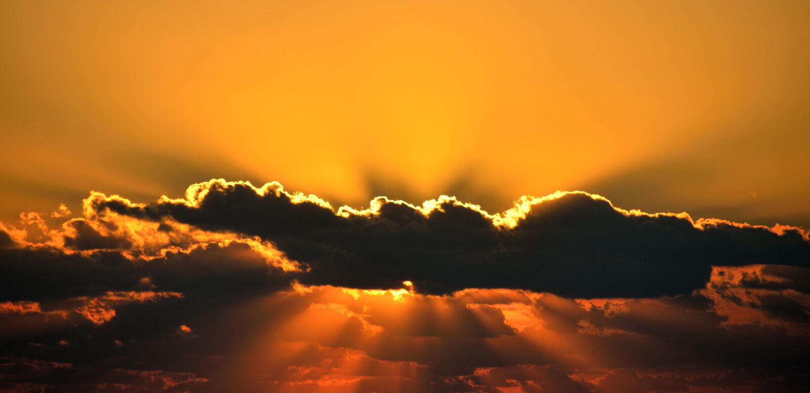 Nikon D7000 sample photo. Sunrise, majestic, orange color photography