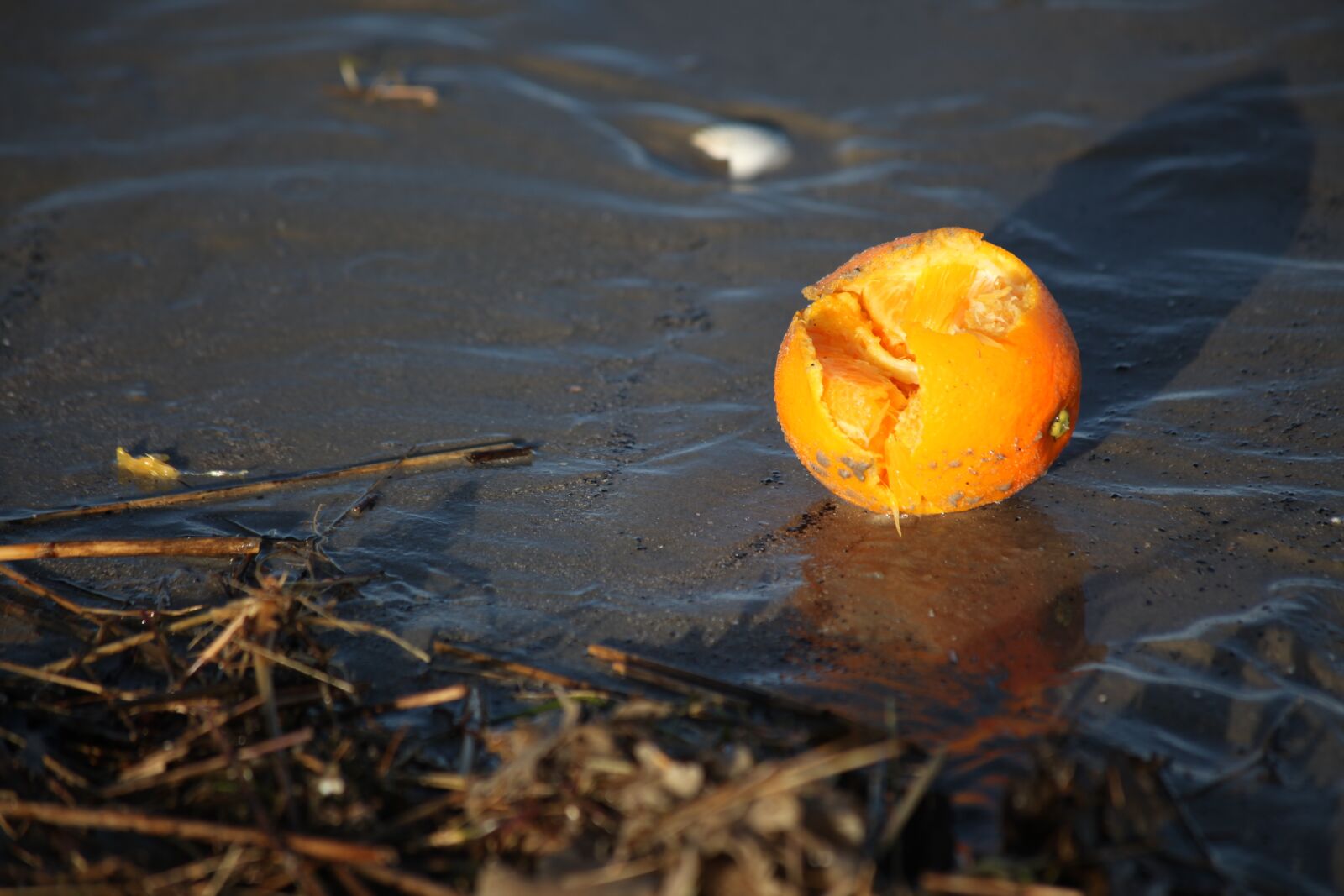 Canon EOS 5D Mark II sample photo. Flotsam, orange, evening light photography