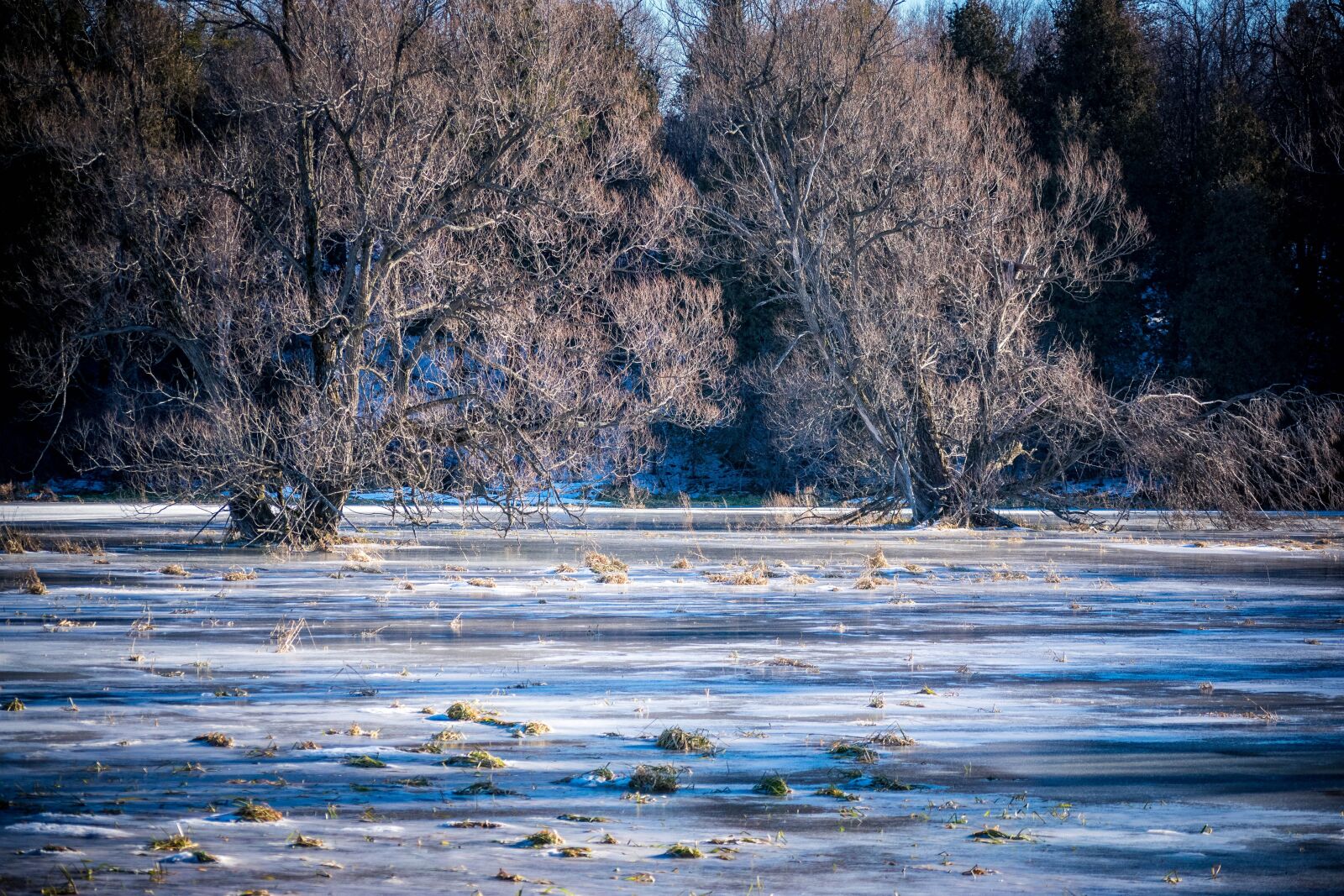 Nikon D3400 sample photo. Ice, pond, winter photography