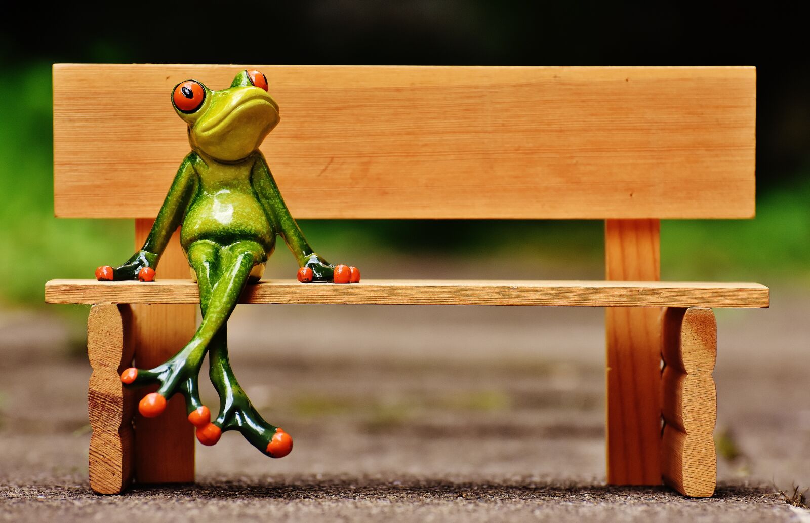 Nikon D7200 sample photo. Frog, sit, bank photography