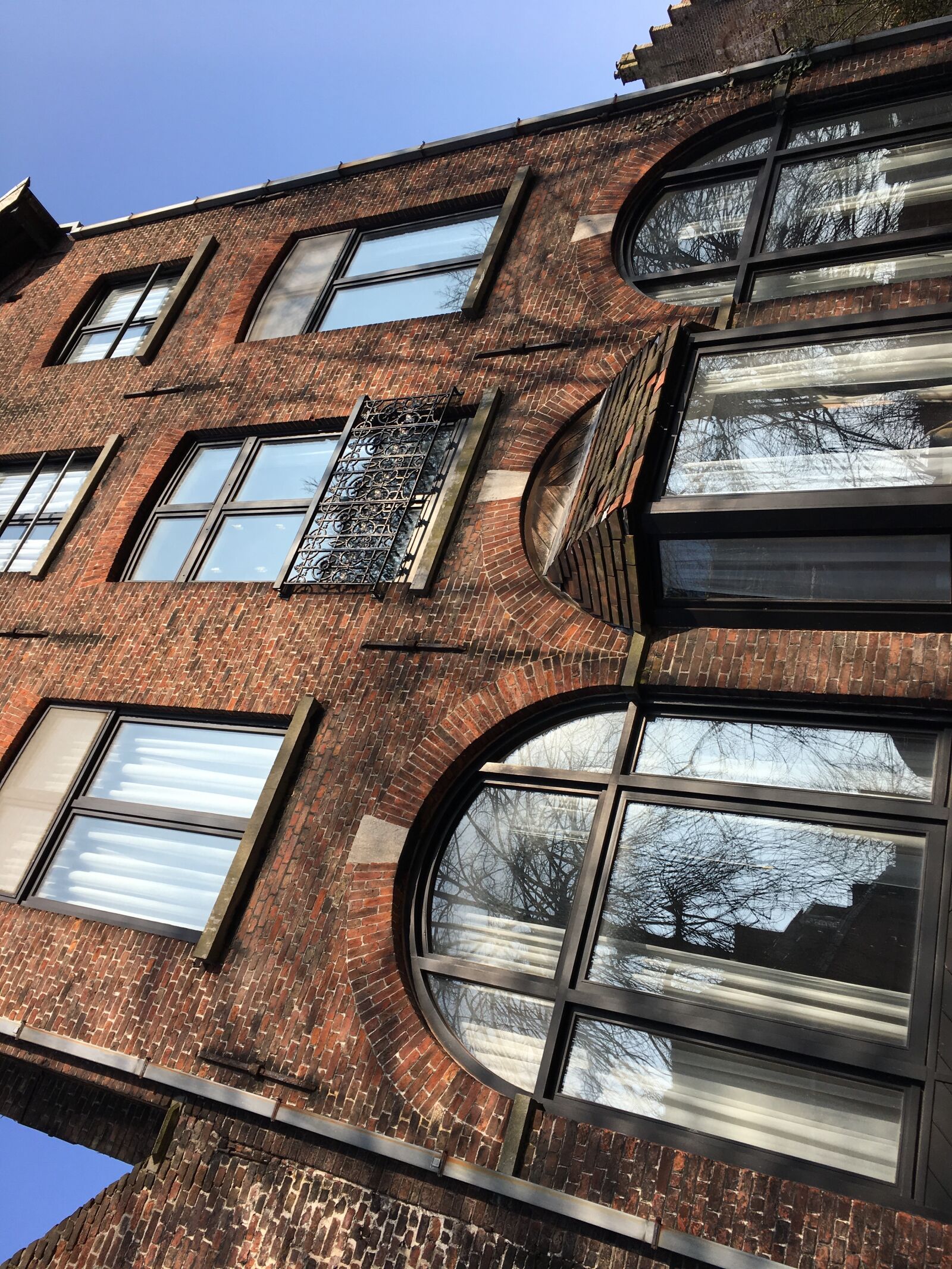 iPhone 6s back camera 4.15mm f/2.2 sample photo