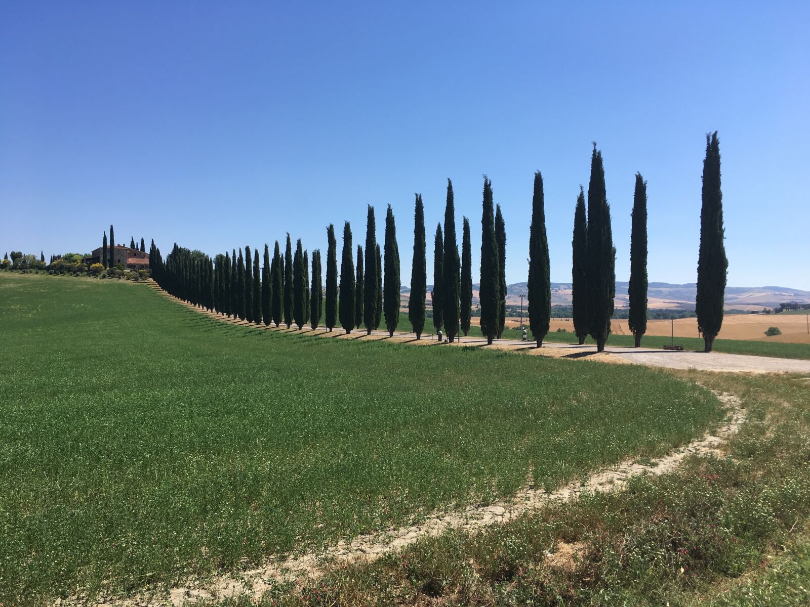 Apple iPhone SE sample photo. Tuscany, cypresses, nature photography