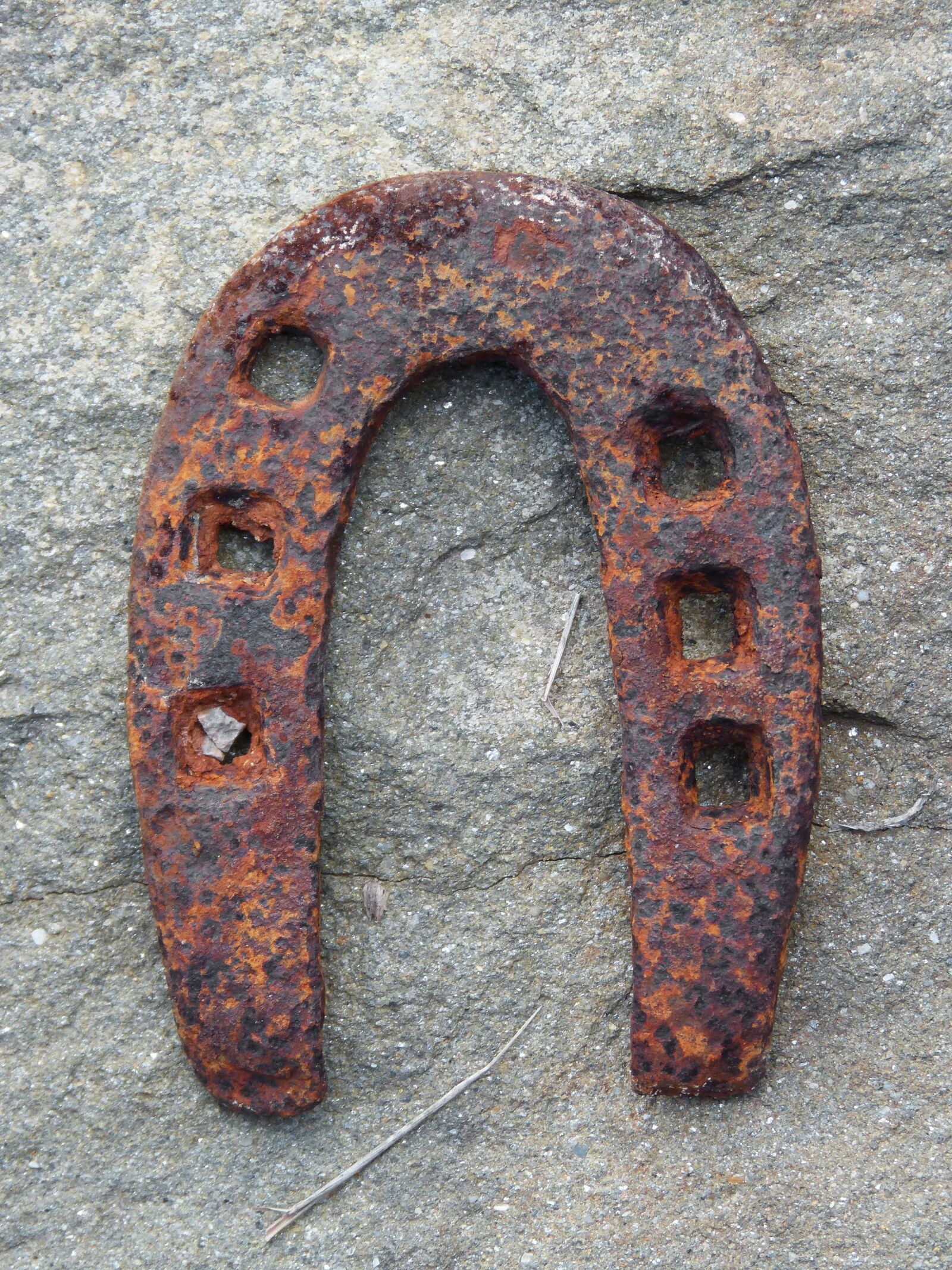 Panasonic DMC-FZ62 sample photo. Horseshoe, oxide, symbol photography