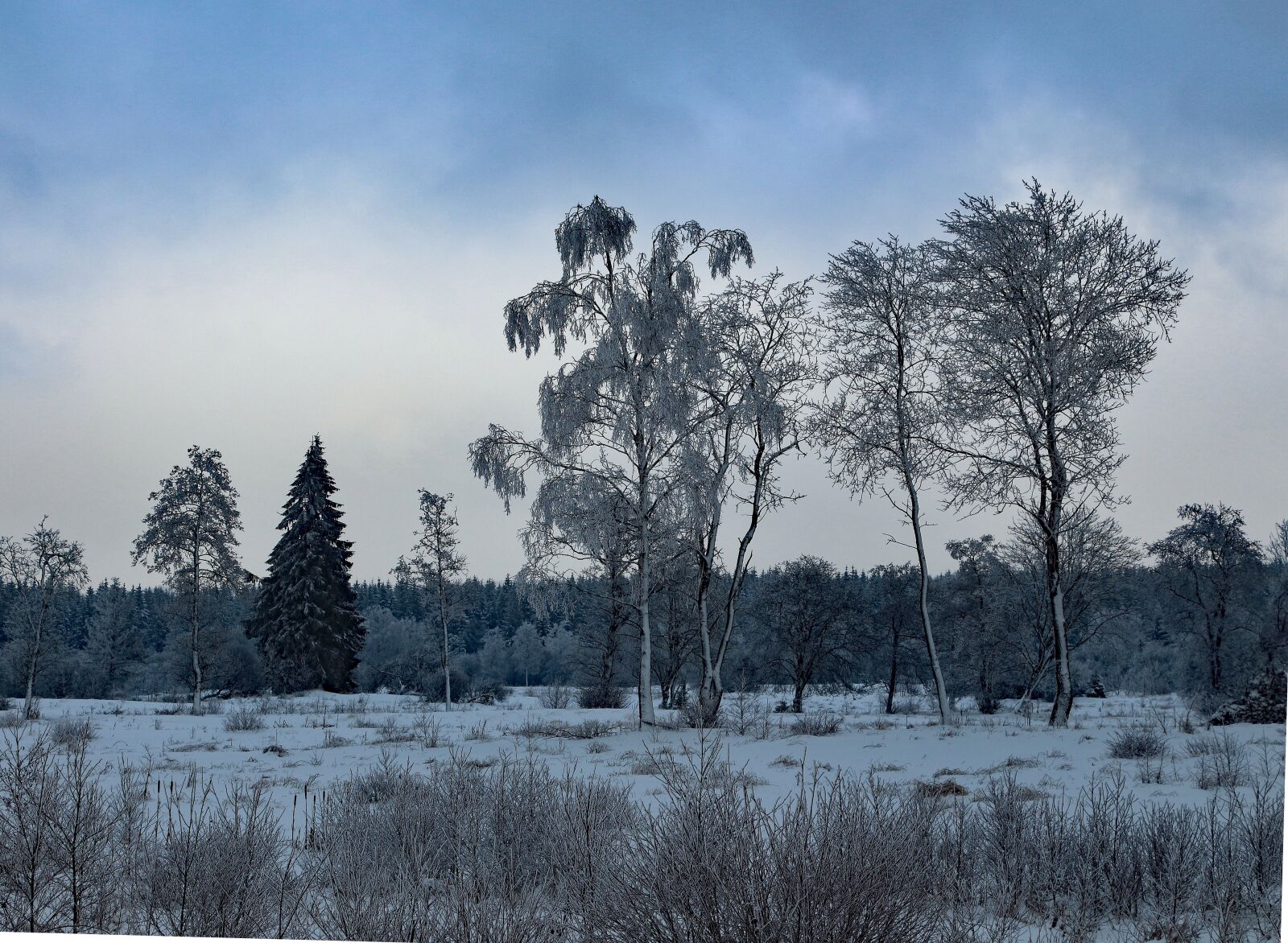 Canon EOS 700D (EOS Rebel T5i / EOS Kiss X7i) sample photo. Winter, snow, wintry photography