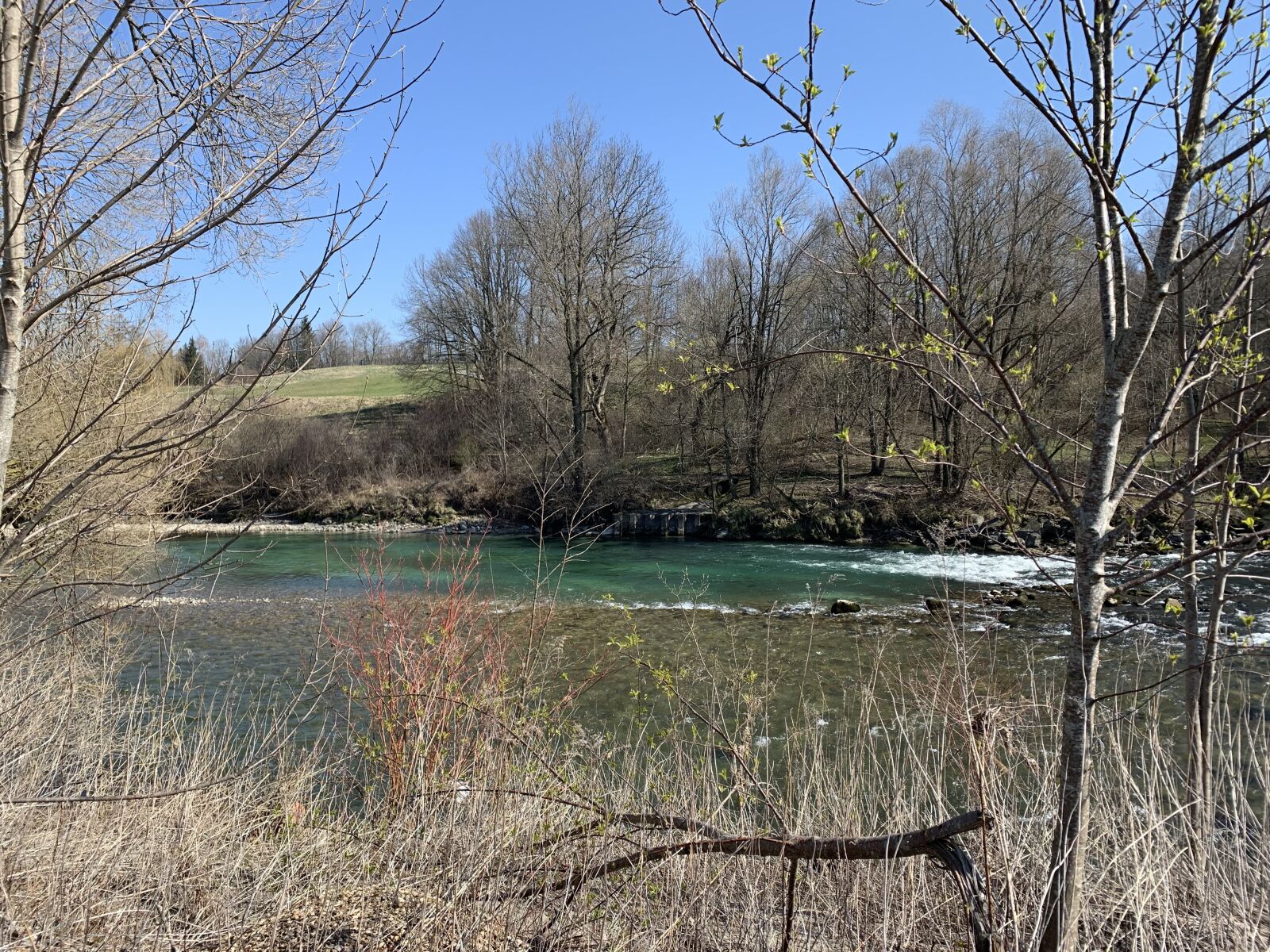 Apple iPhone XR sample photo. River landscape, river, nature photography