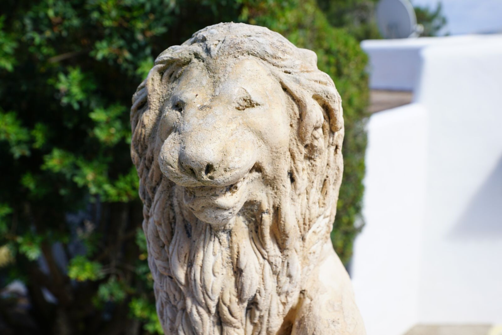 Sony DT 16-50mm F2.8 SSM sample photo. Lion, animal, statue photography