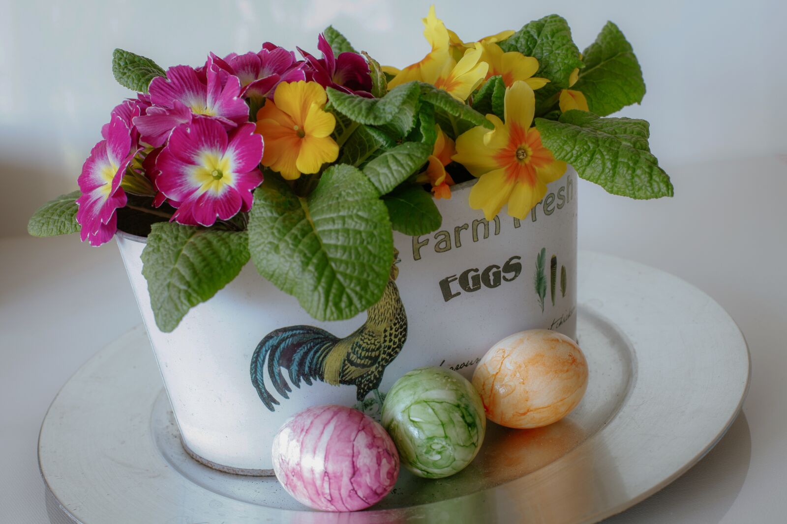 Canon EOS 5D Mark II + Canon EF 50mm F1.4 USM sample photo. Easter, egg, primroses photography